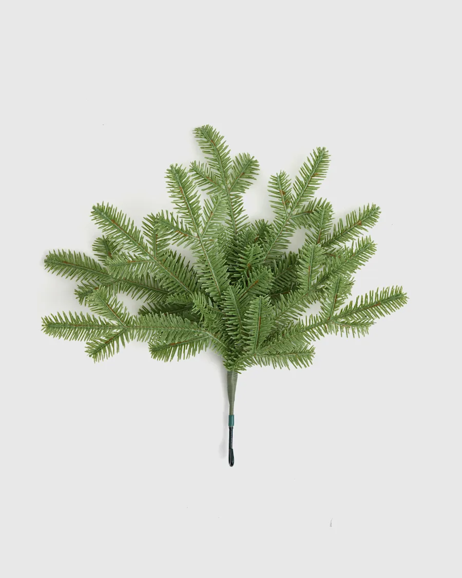 BALSAM FIR TREE Branch Detail 0145