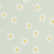 Aqua Daisy