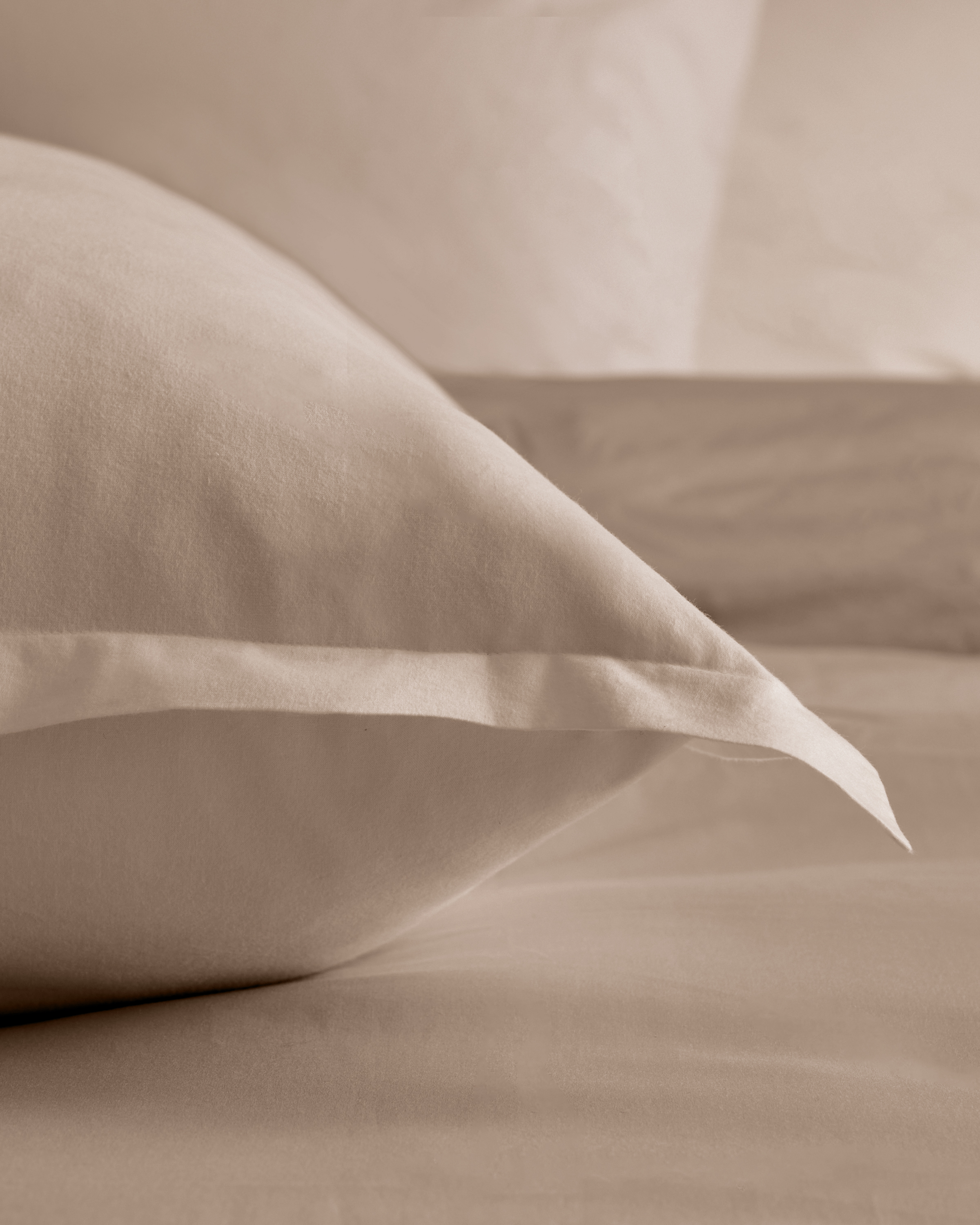 Organic Brushed Cotton Euro Sham - thumbnail 6