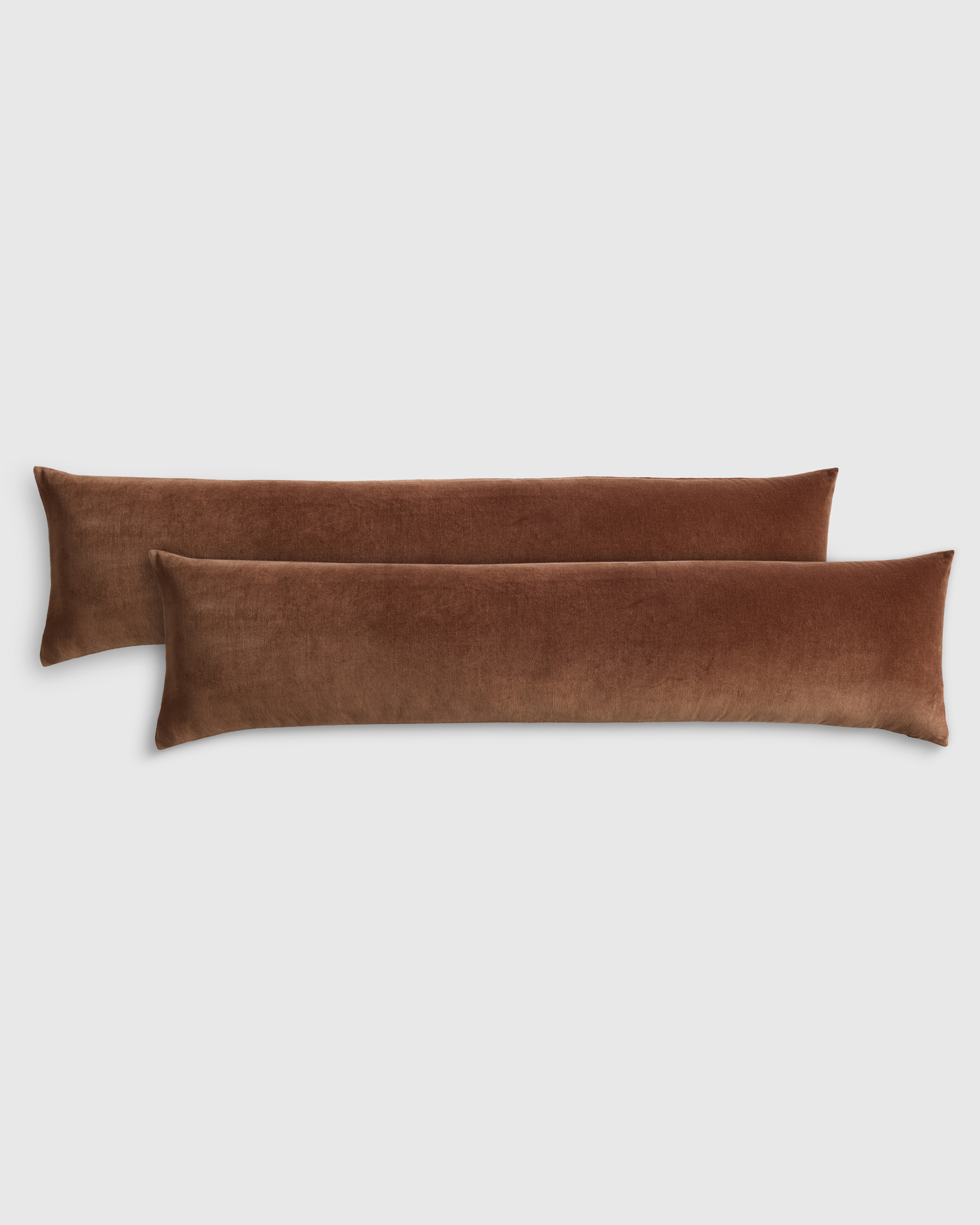 Cotton Velvet Oversized Lumbar Pillow Cover (Set of 2) by Quince