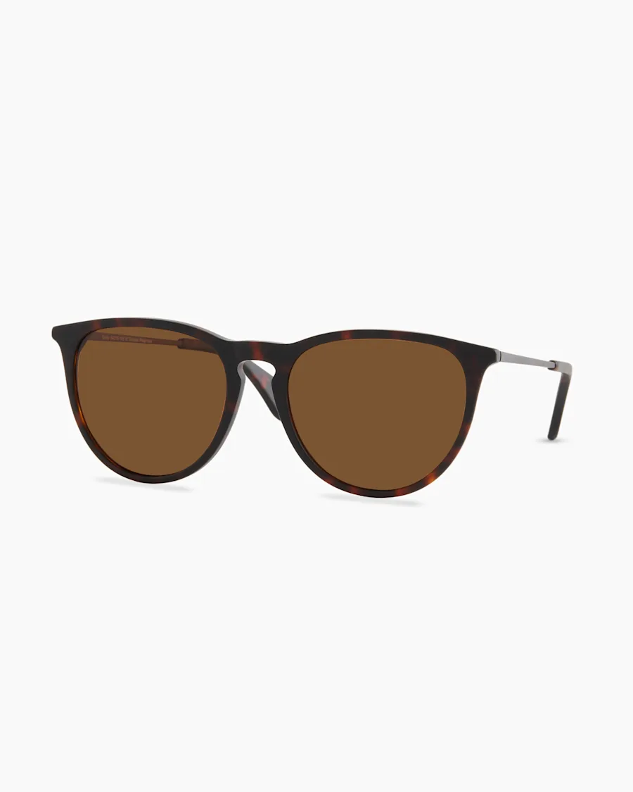 Emily Polarized Acetate Sunglasses Brown 4