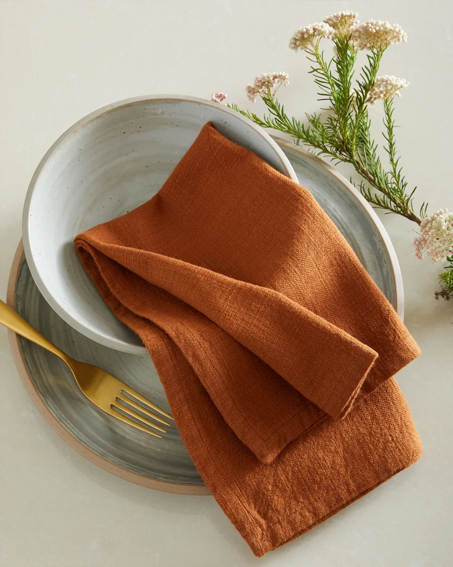 Napkins Cotton Terracotta 3268