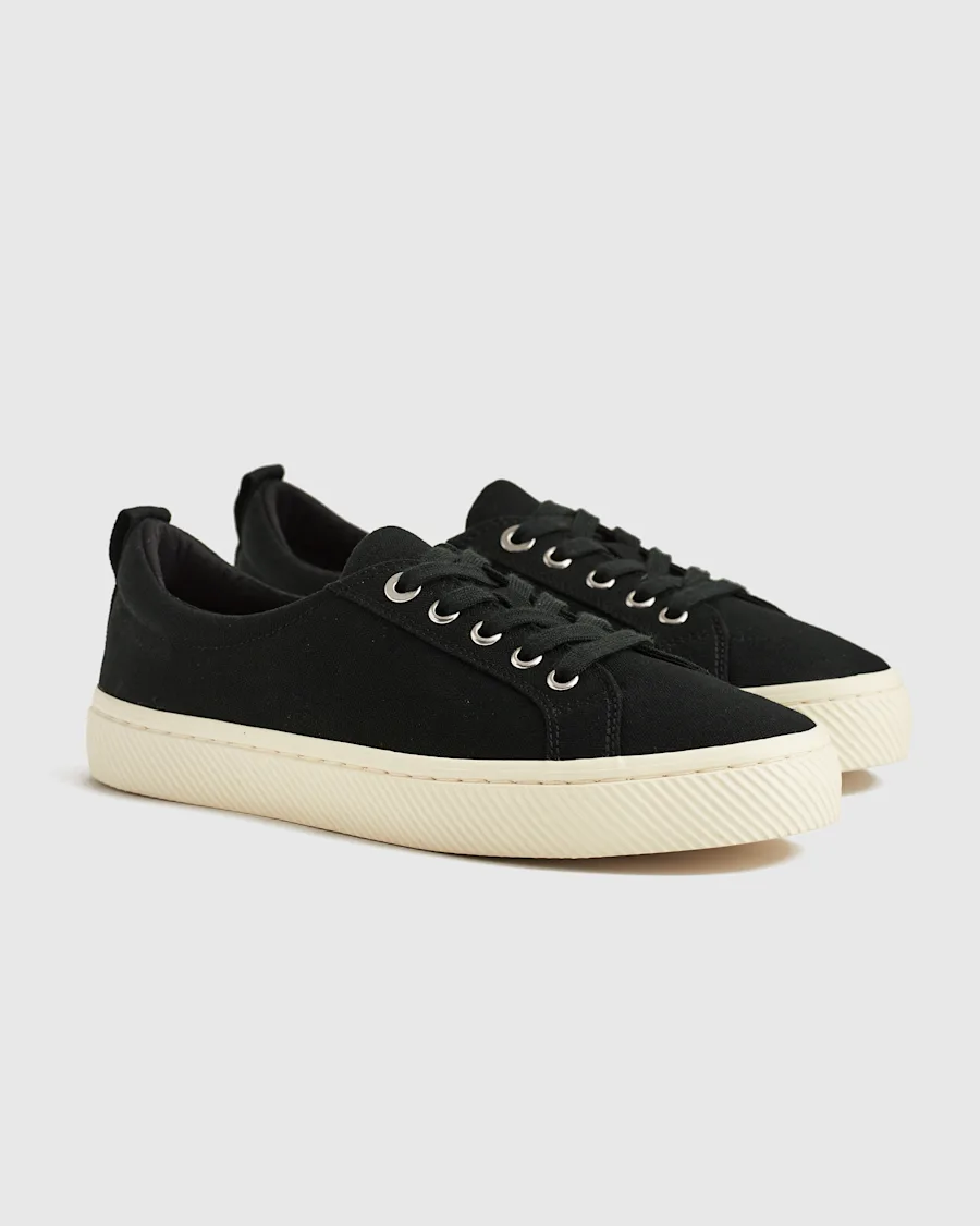 shoe 2