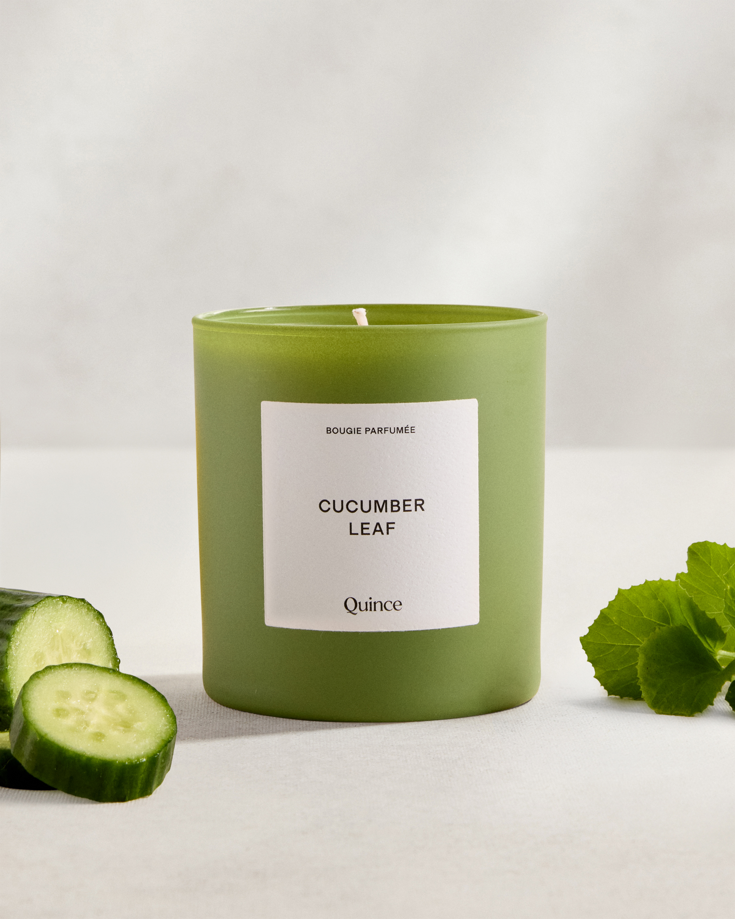 Cucumber Leaf Limited Edition Candle