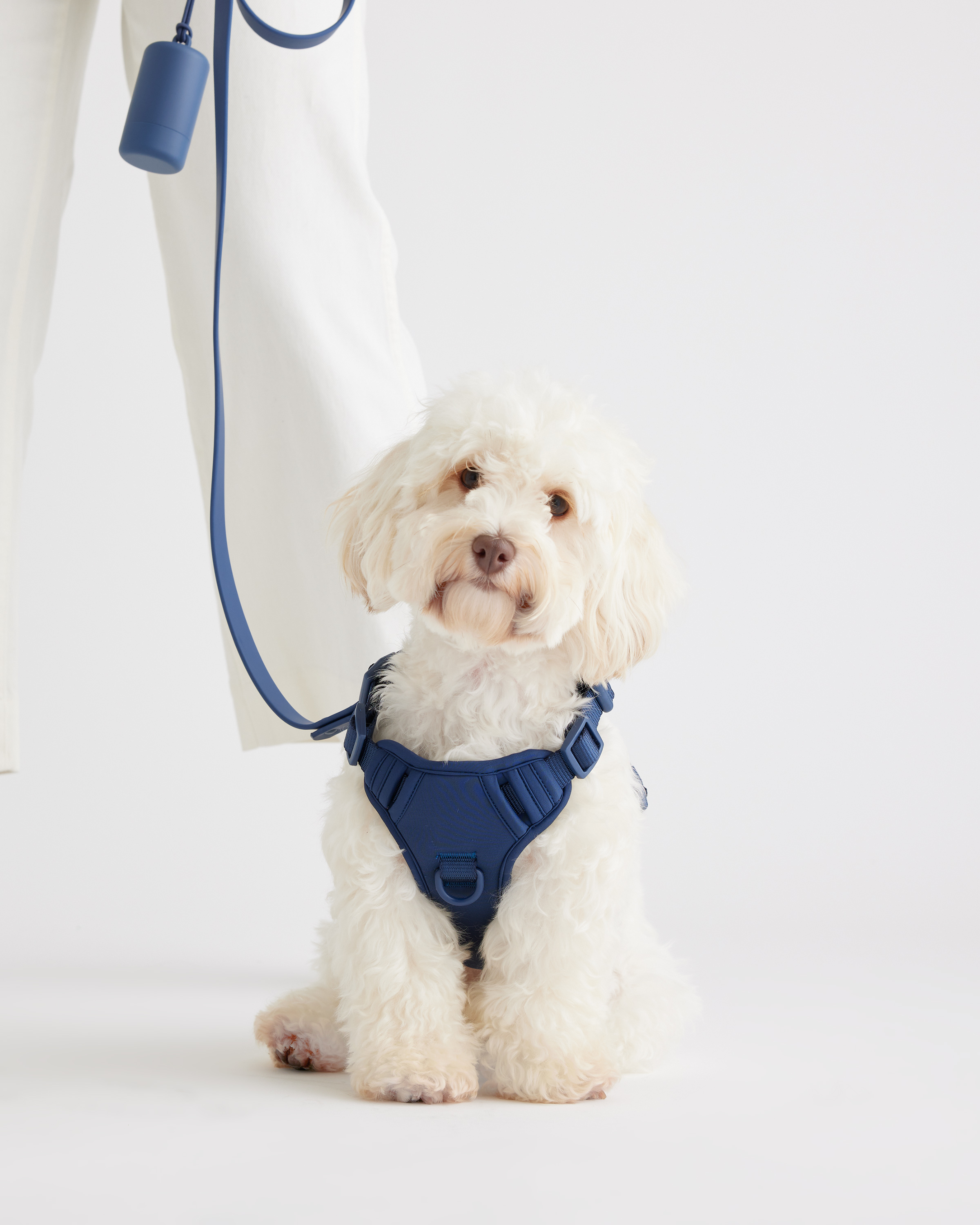 Quince Dog Harness Walk Kit In Navy