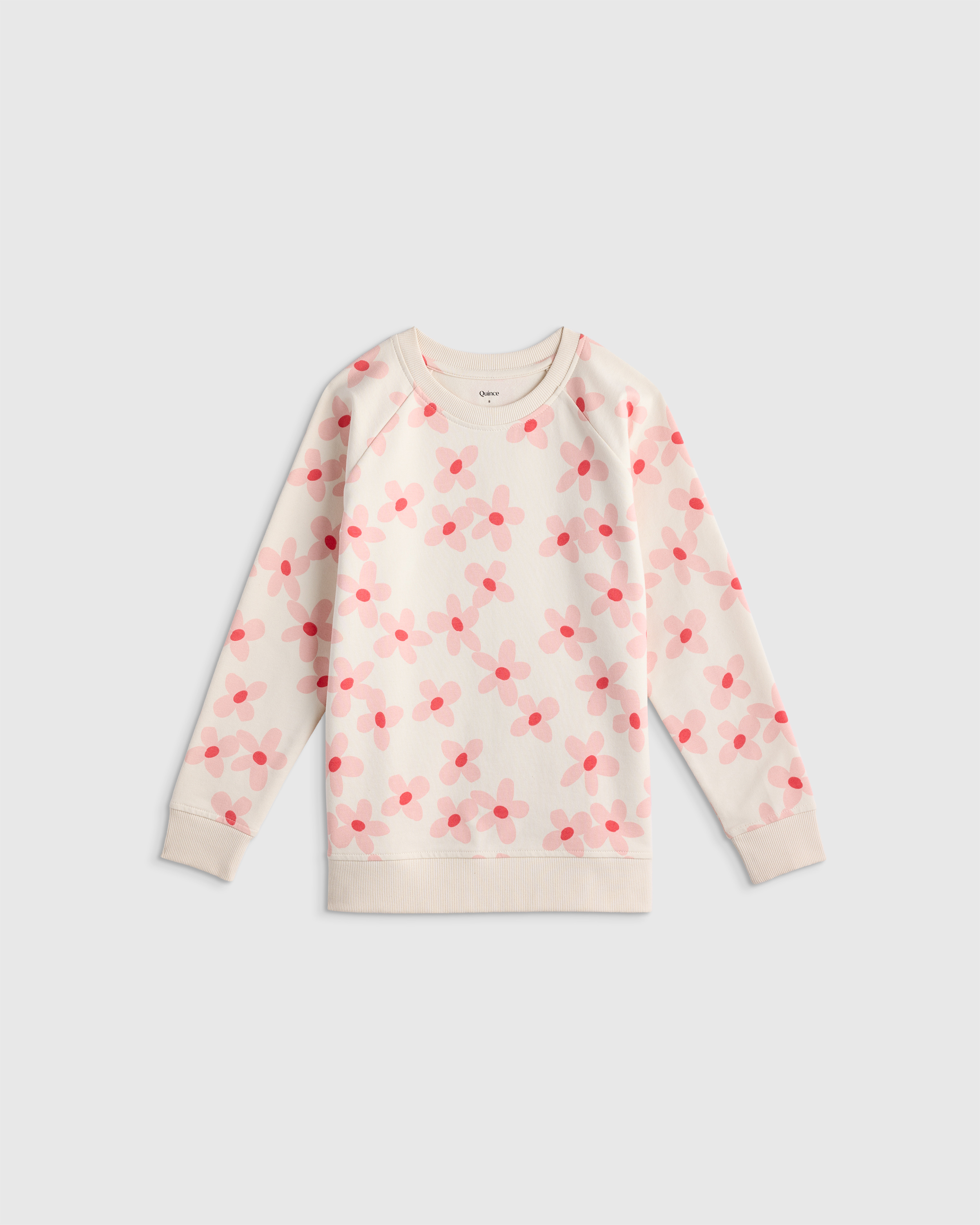 Organic Cotton French Terry Crew Neck Sweatshirt - Toddler - thumbnail 4