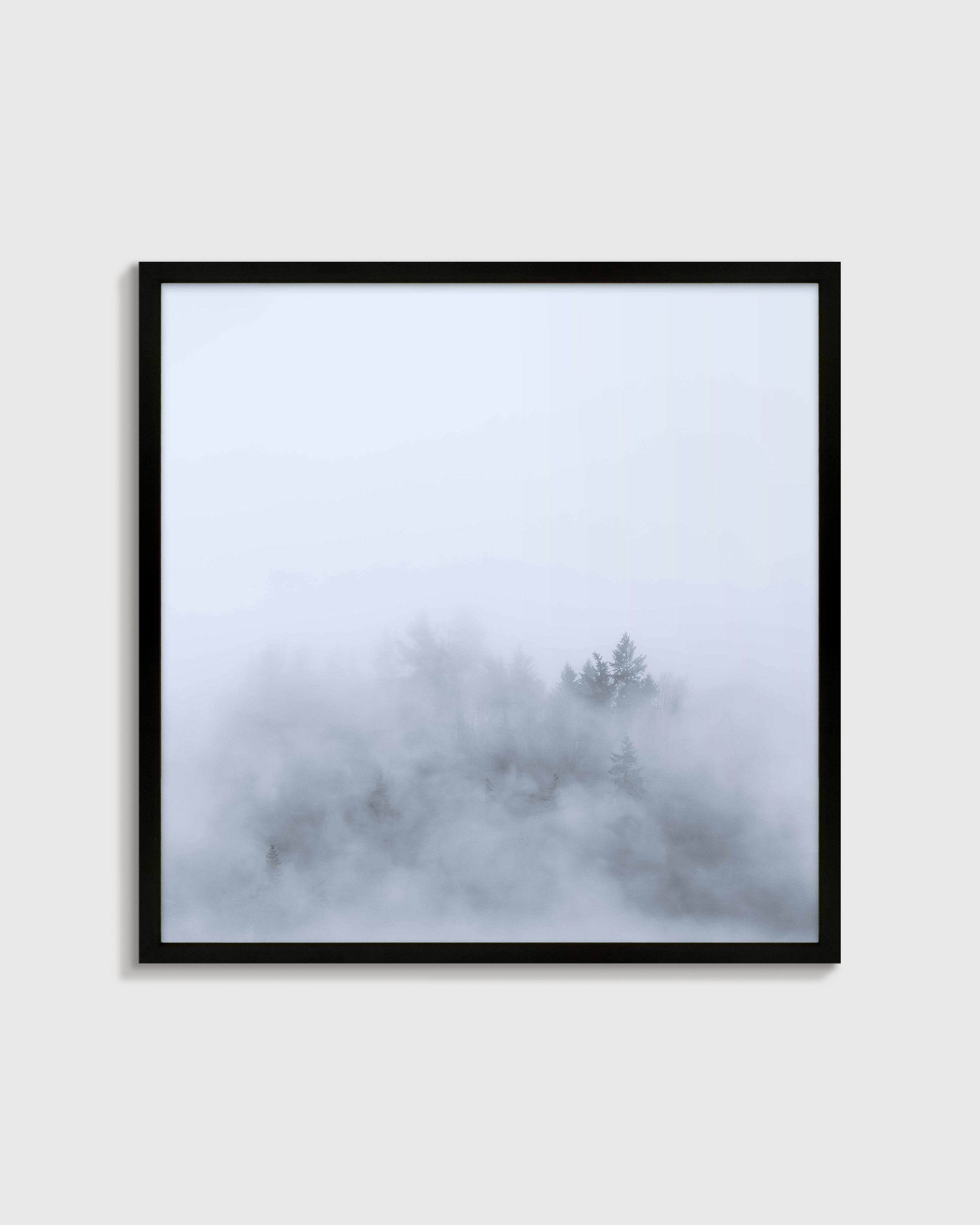 Above the Mist by Laura Zimmerman