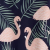 Flamingo Palms