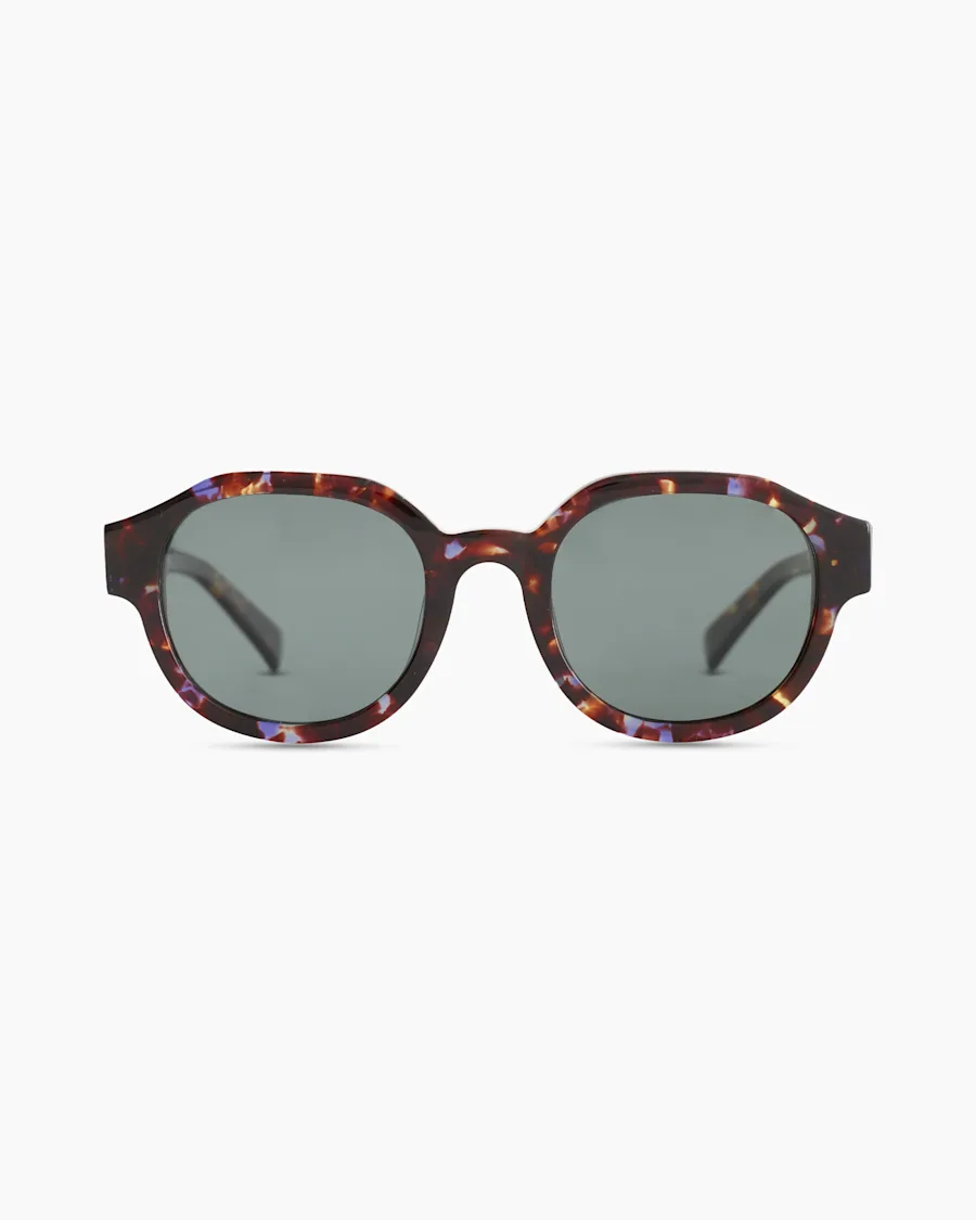 REAGAN-TORTOISE 177806