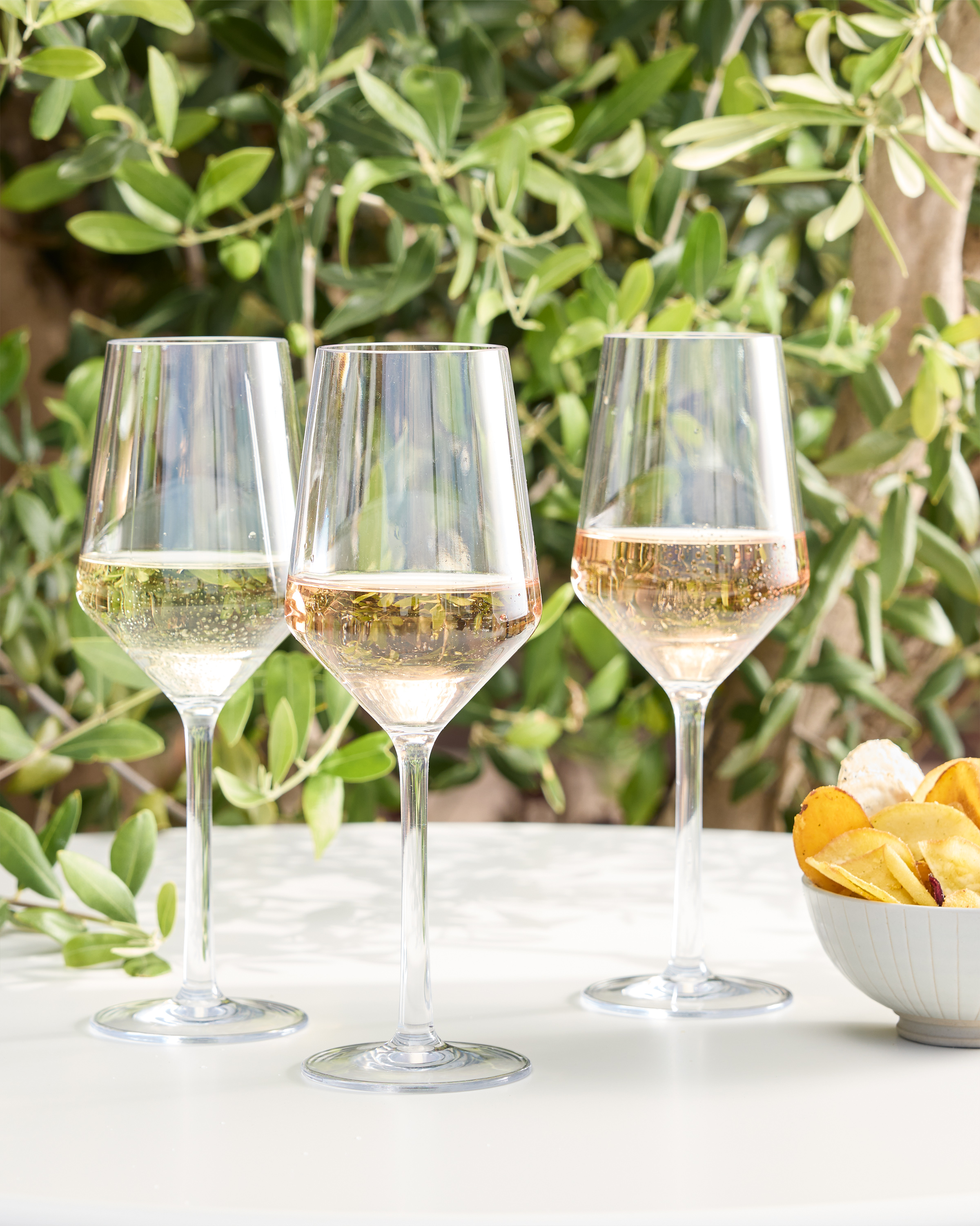 Sole Outdoor White Wine Glass (Set of 6) in No Color