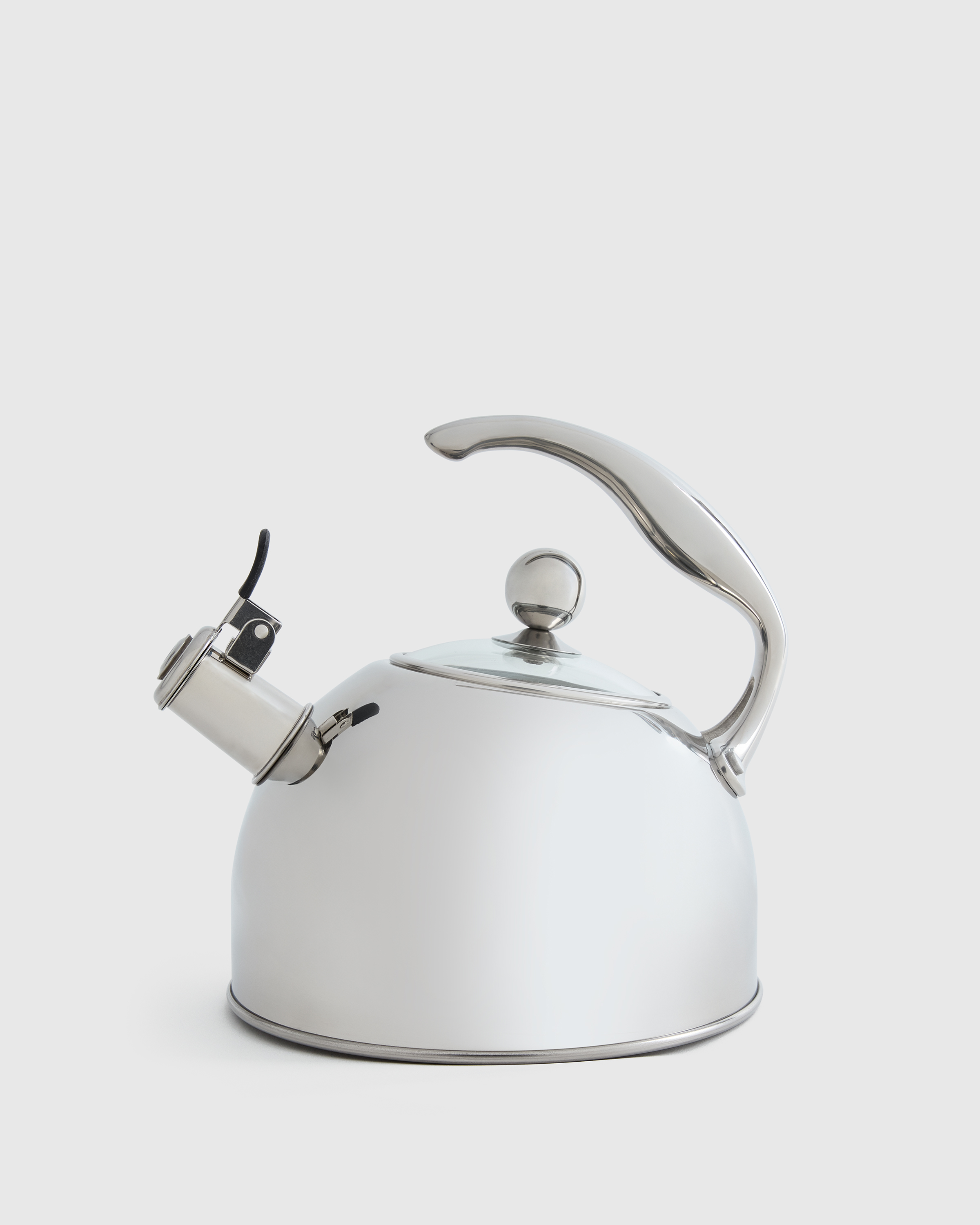 Stainless Steel Tea Kettle