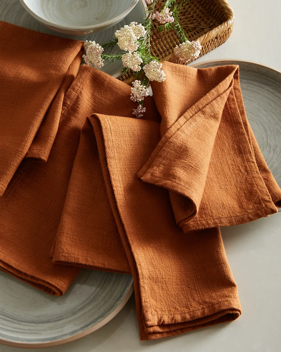 Napkins Cotton Terracotta 3260