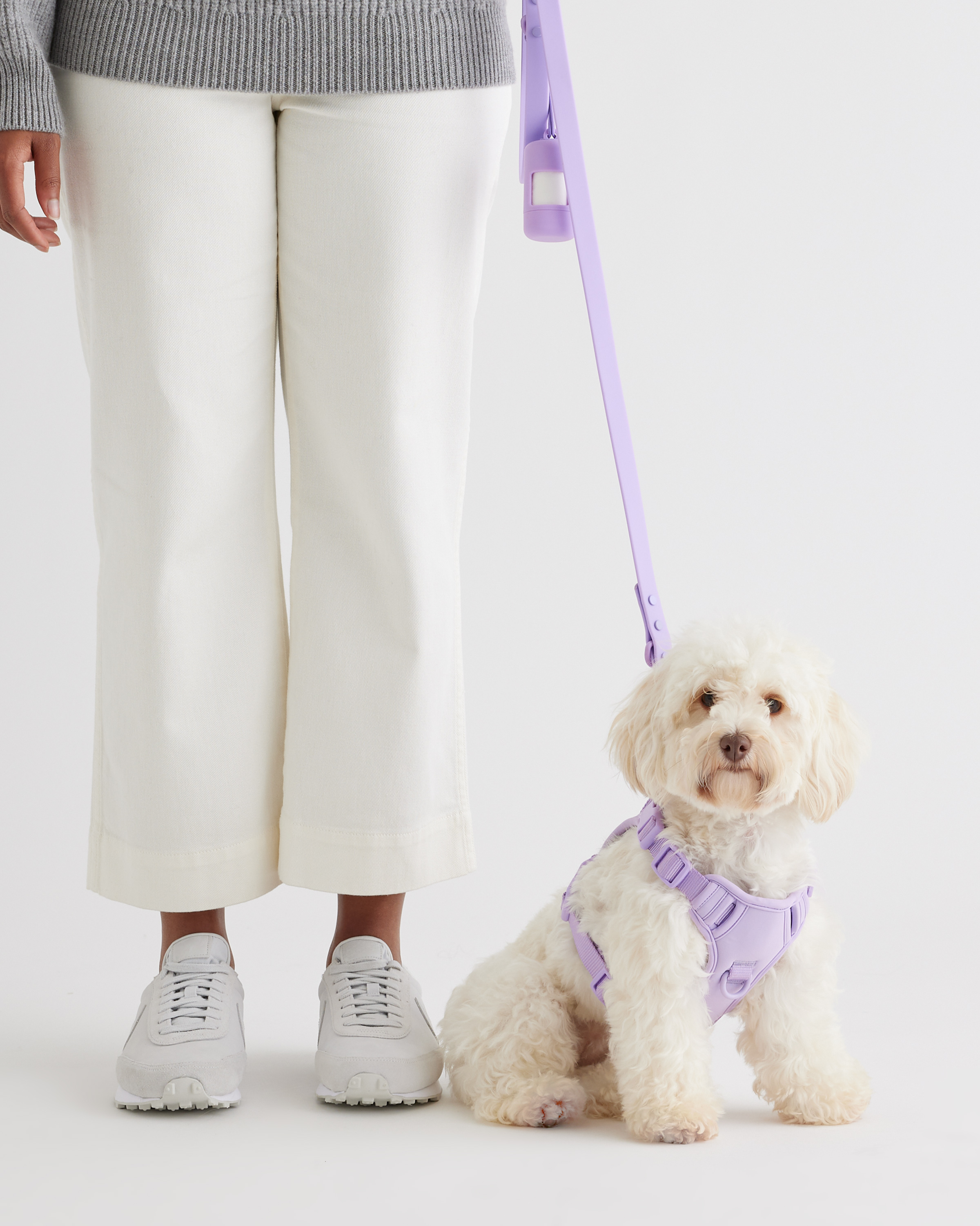 Quince Dog Harness Walk Kit In Lavender