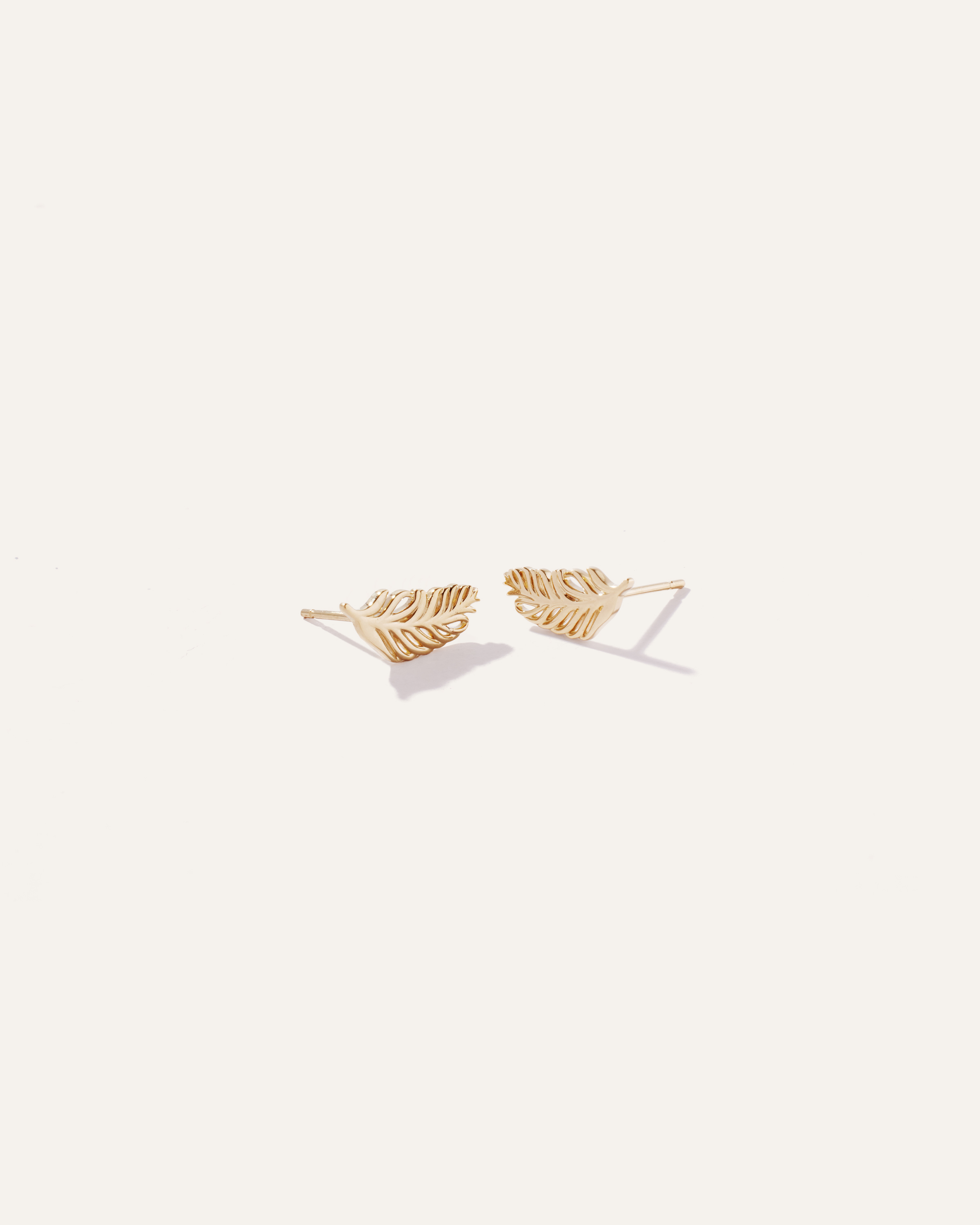 Quince Women's 14k Gold Feather Studs