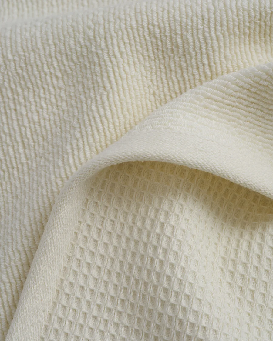 detail 20240206 QUINCE0136