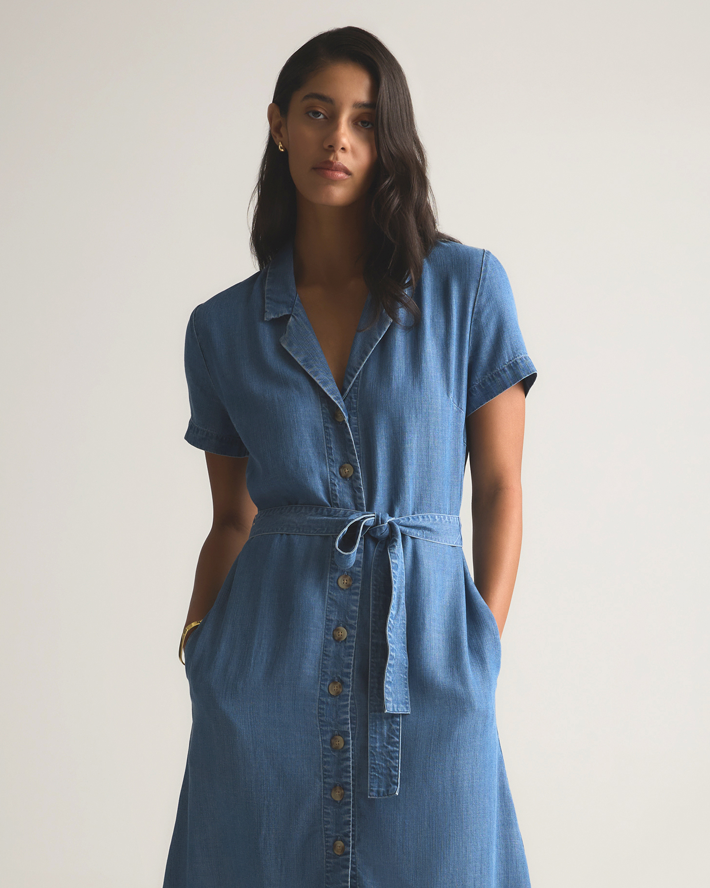 Chambray Tencel Button Front Dress