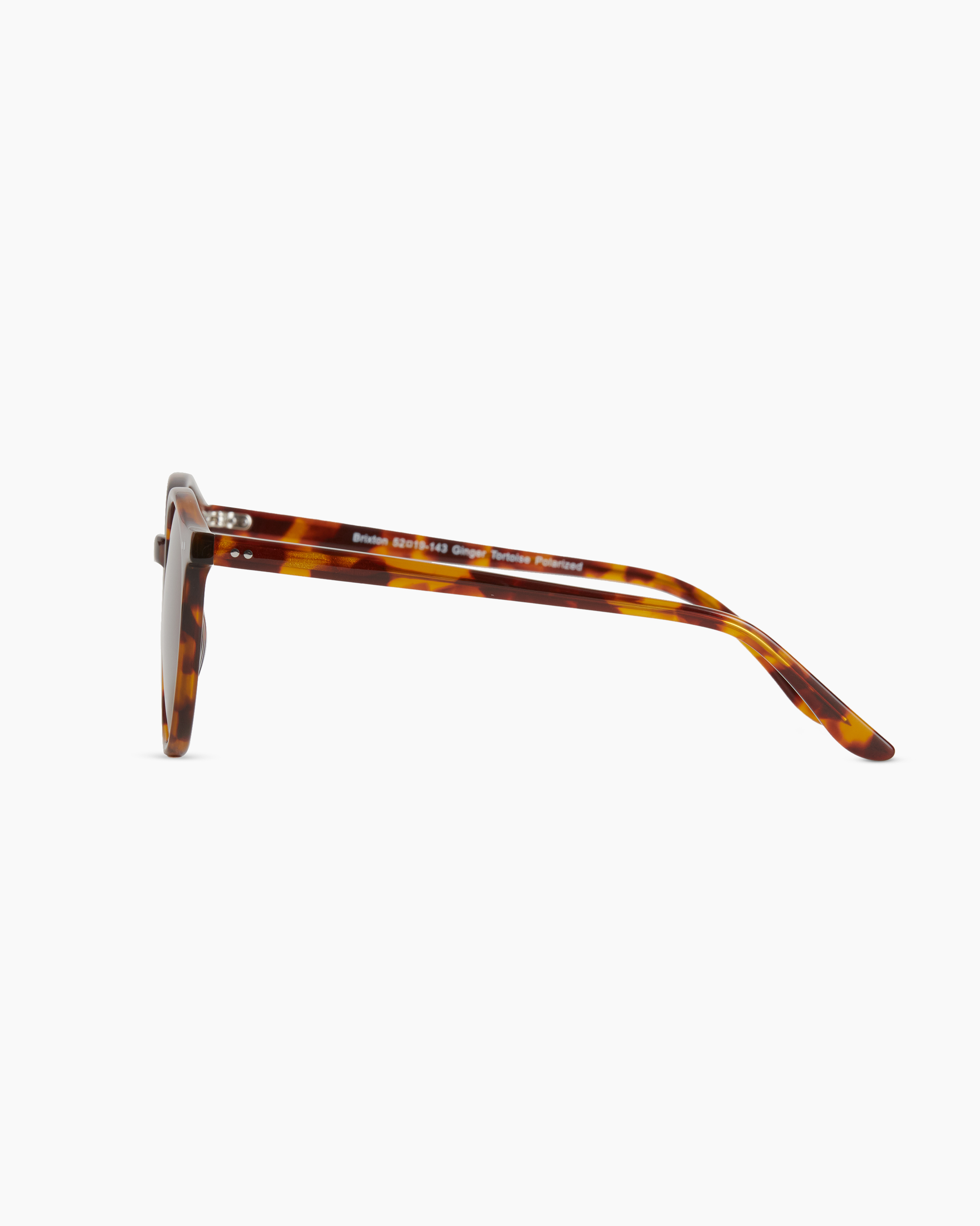 Quince Brixton Polarized Acetate Sunglasses Clear Taupe Brown Lens Round Frame Noah Polarized Acetate Sunglasses in Clear Brown with Brown lens main image 2