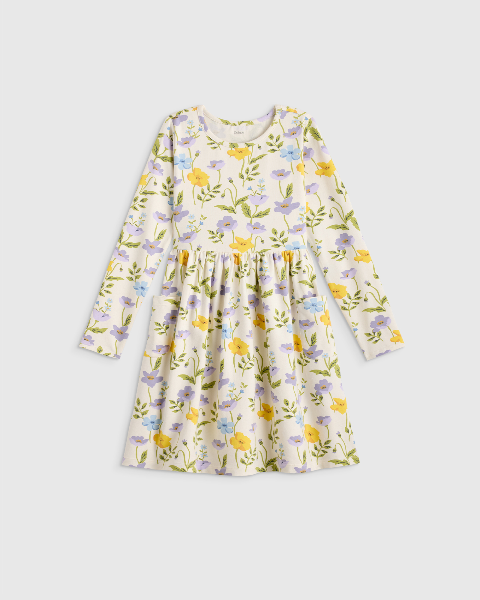 Organic Cotton Long Sleeve Fit and Flare Pocket Dress - Toddler Girl