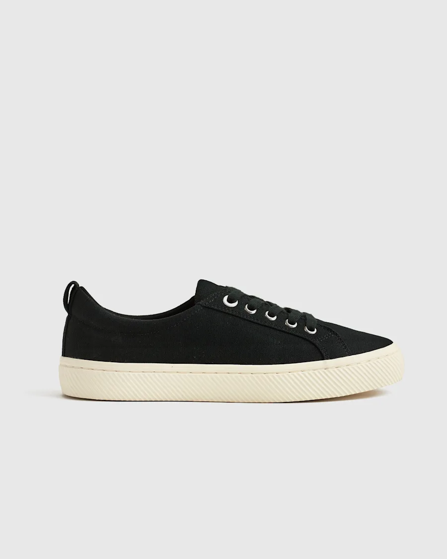 shoe 6