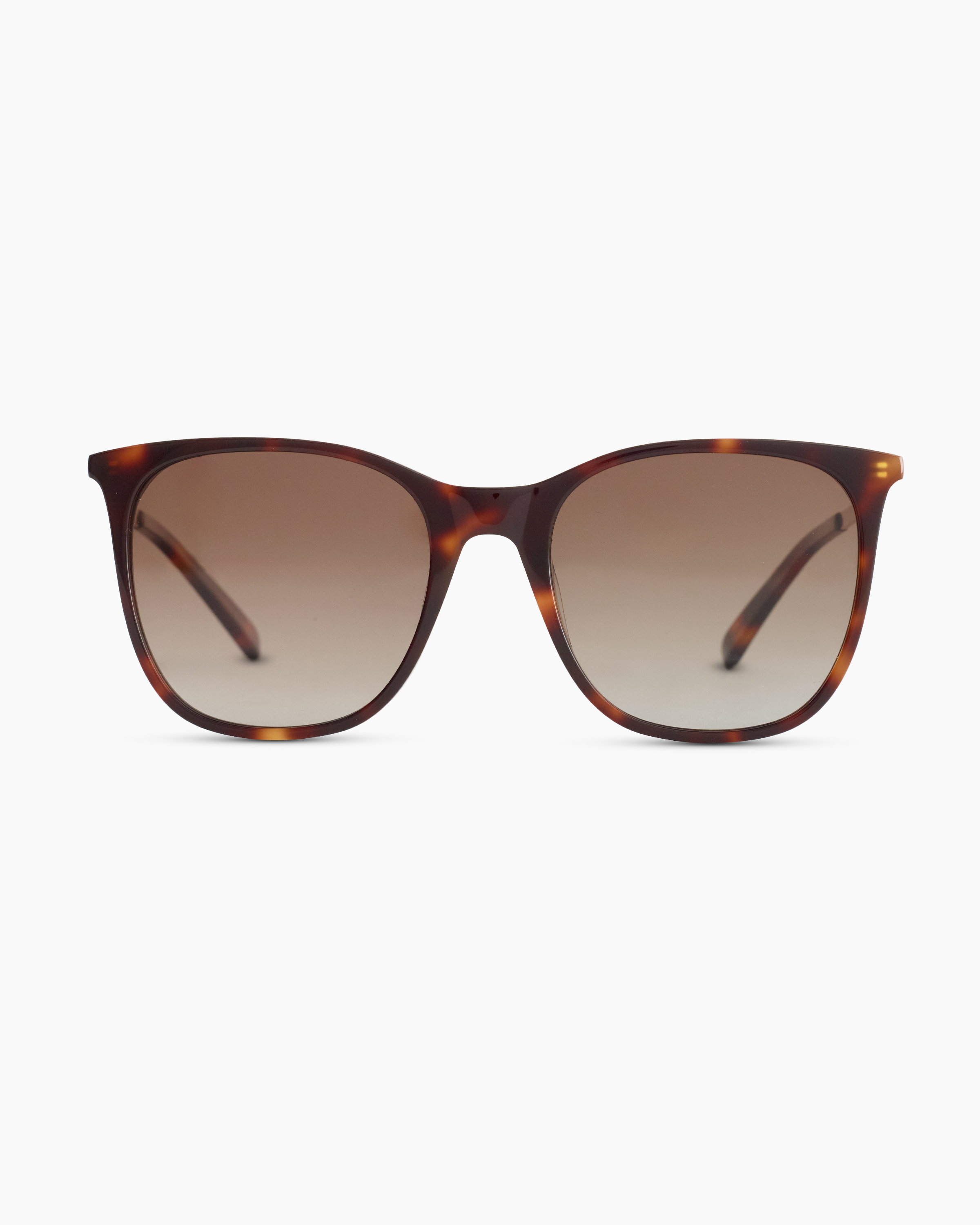 A pair of Tory Burch Polaroid sunglasses with faux tortoise shell front.  Lenses in good condition. R