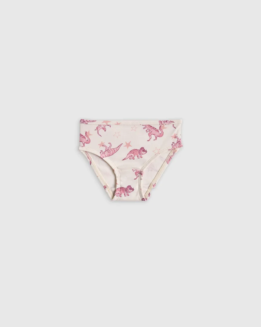 U--313 TODDLER Organic Cotton Bikini Dinosaurs 009 UNEDITED