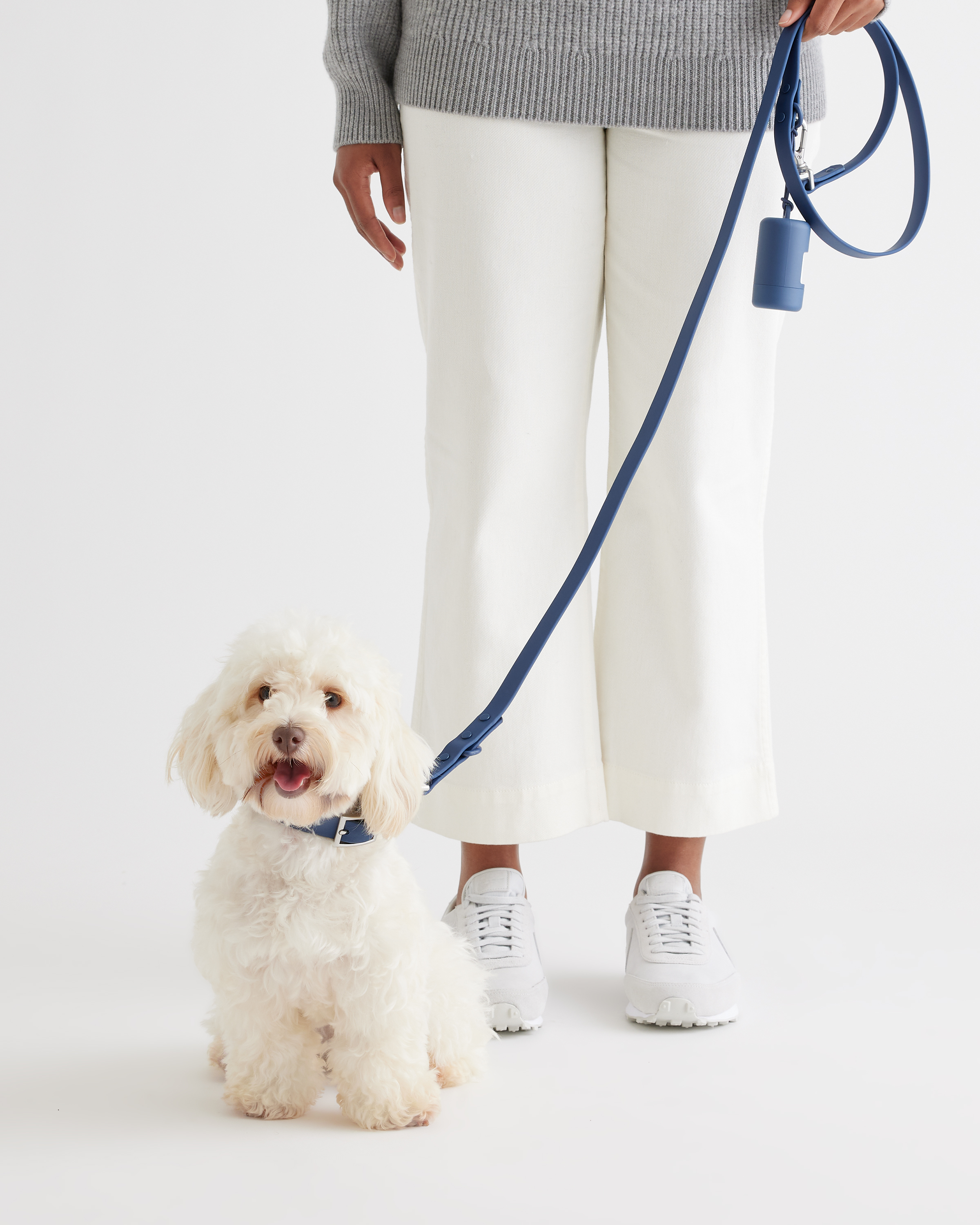 Quince Flex-poly Dog Leash In Navy