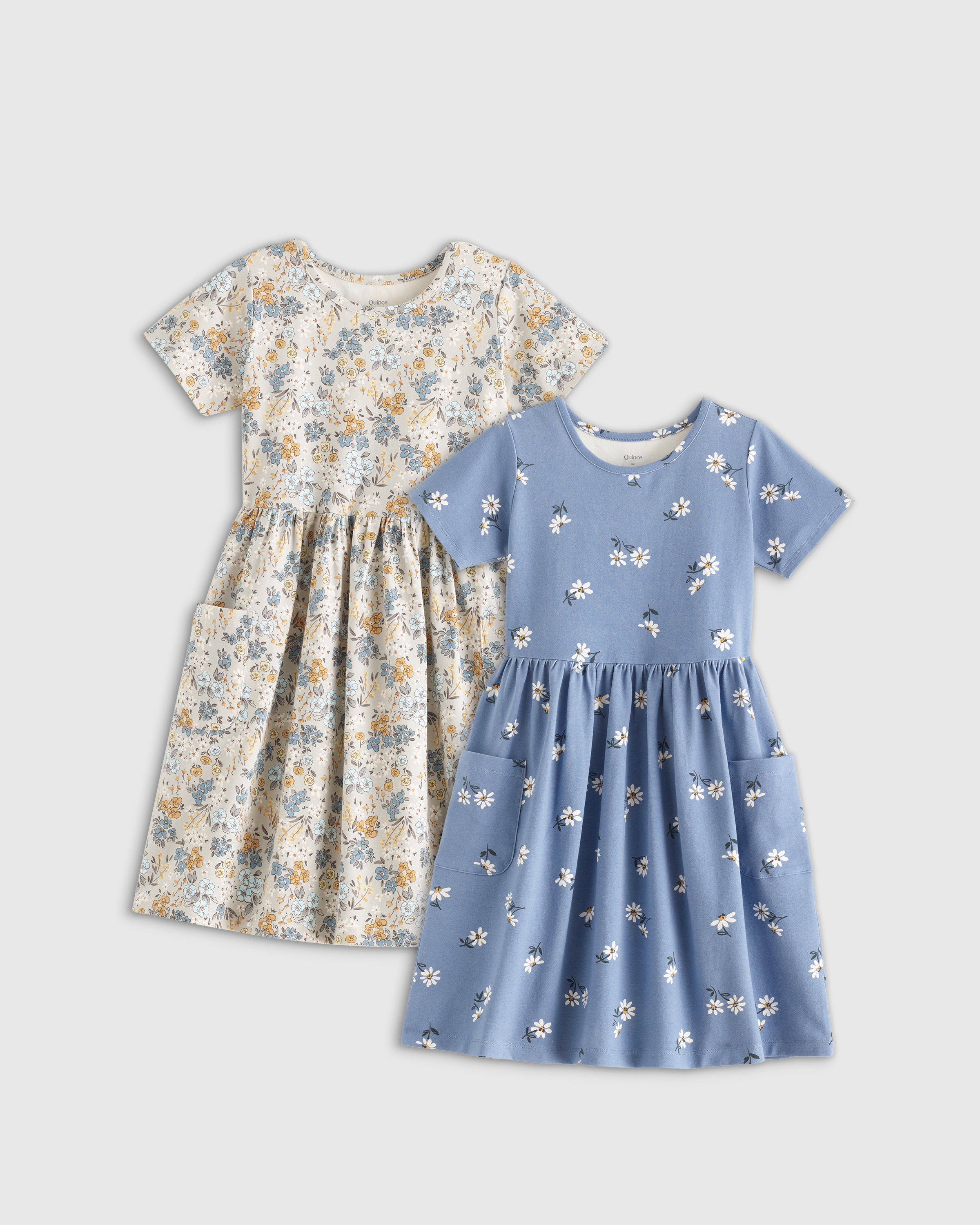 Shop Quince Fit And Flare Pocket Dress 2-pack In Grey Ditsy Floral/blue Daisy
