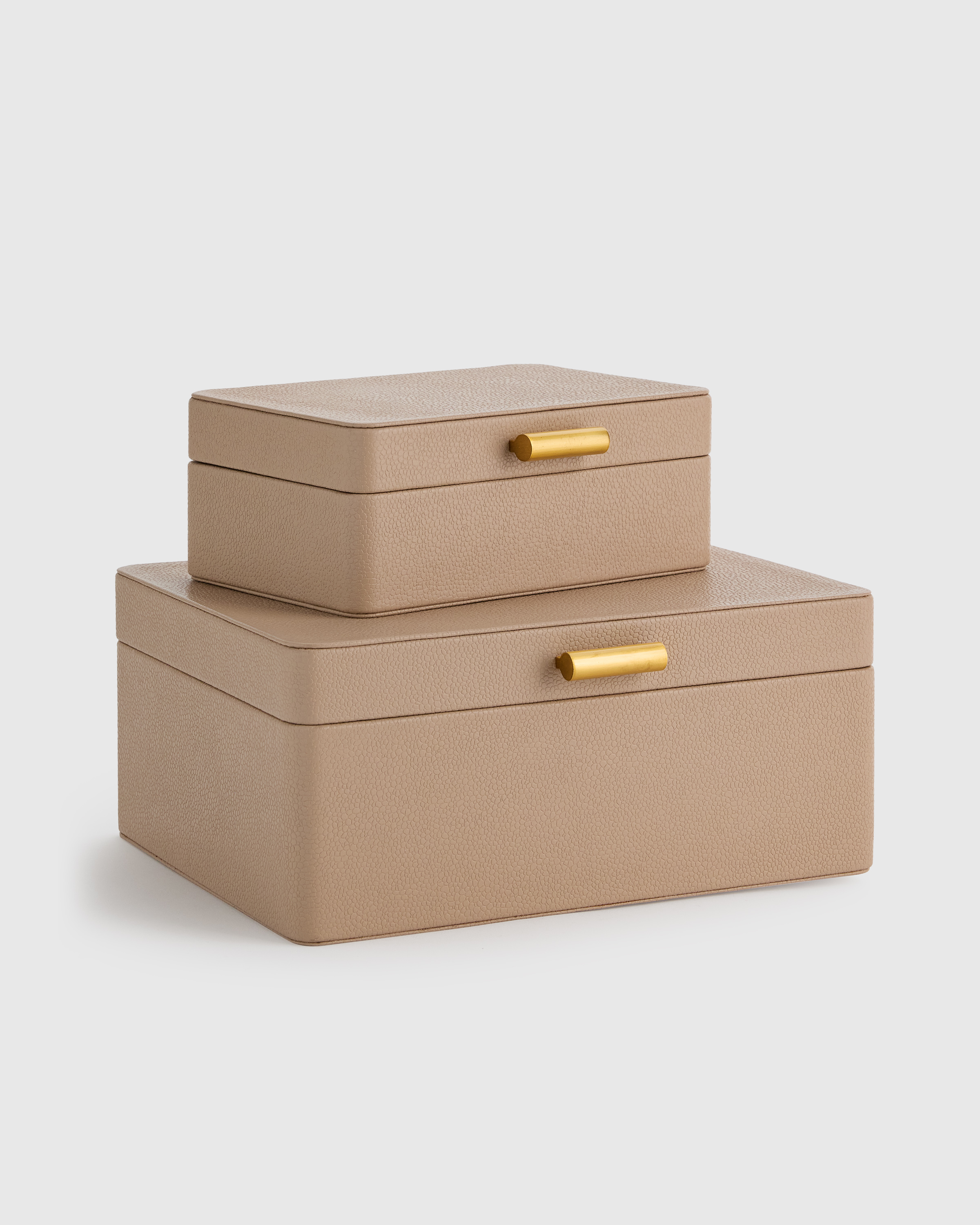Shagreen Leather Decorative Boxes (Set of 2) in Blush