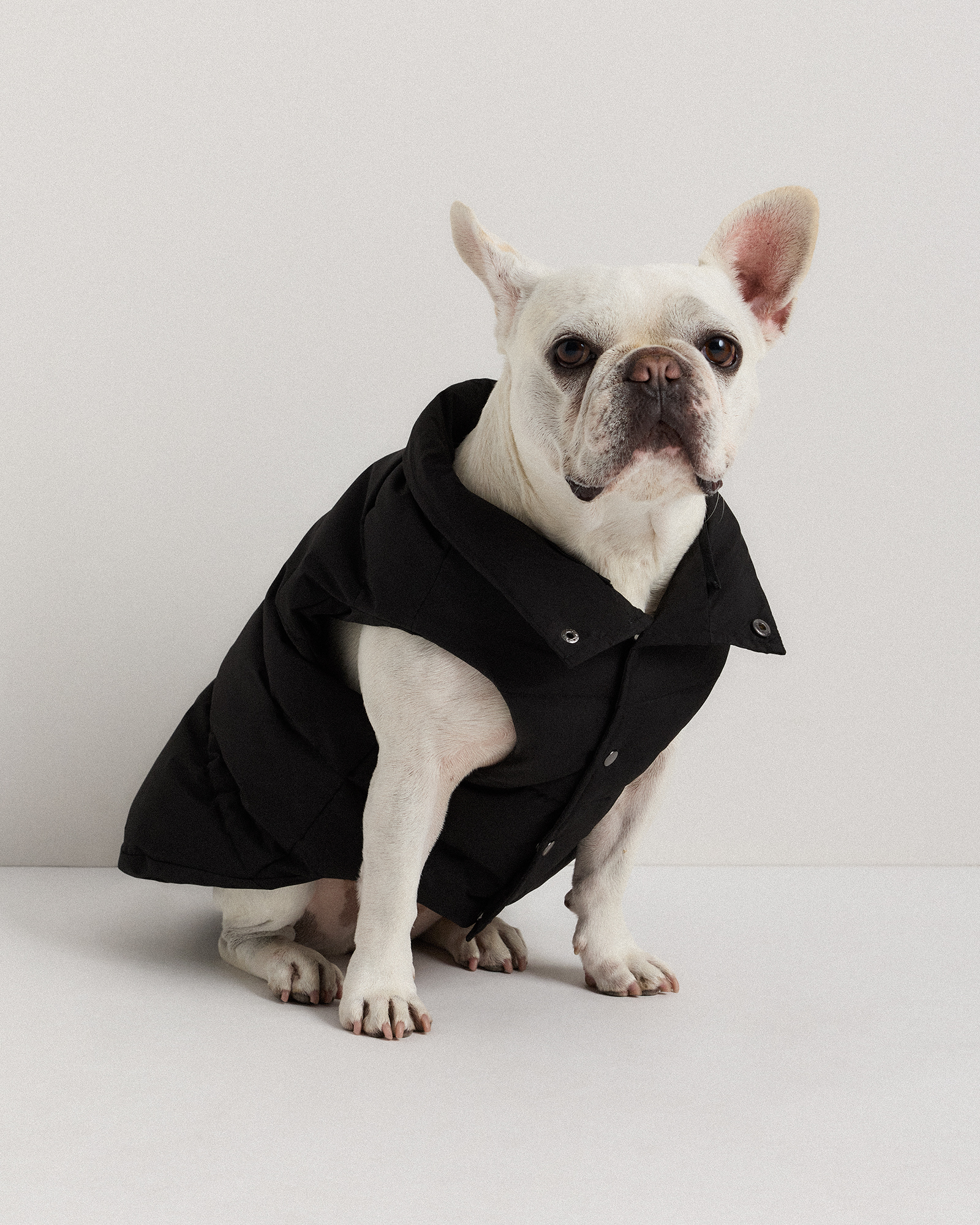 Waterproof Dog Puffer Jacket - thumbnail 3