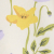 Purple Poppy Garden