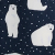 Polar Bears