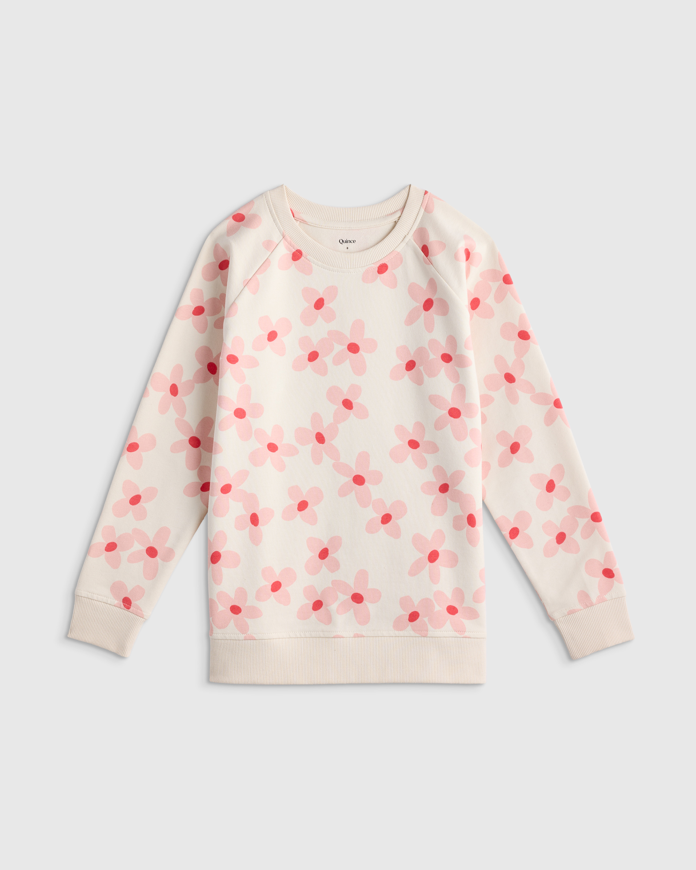 Organic Cotton French Terry Crew Neck Sweatshirt - Kid