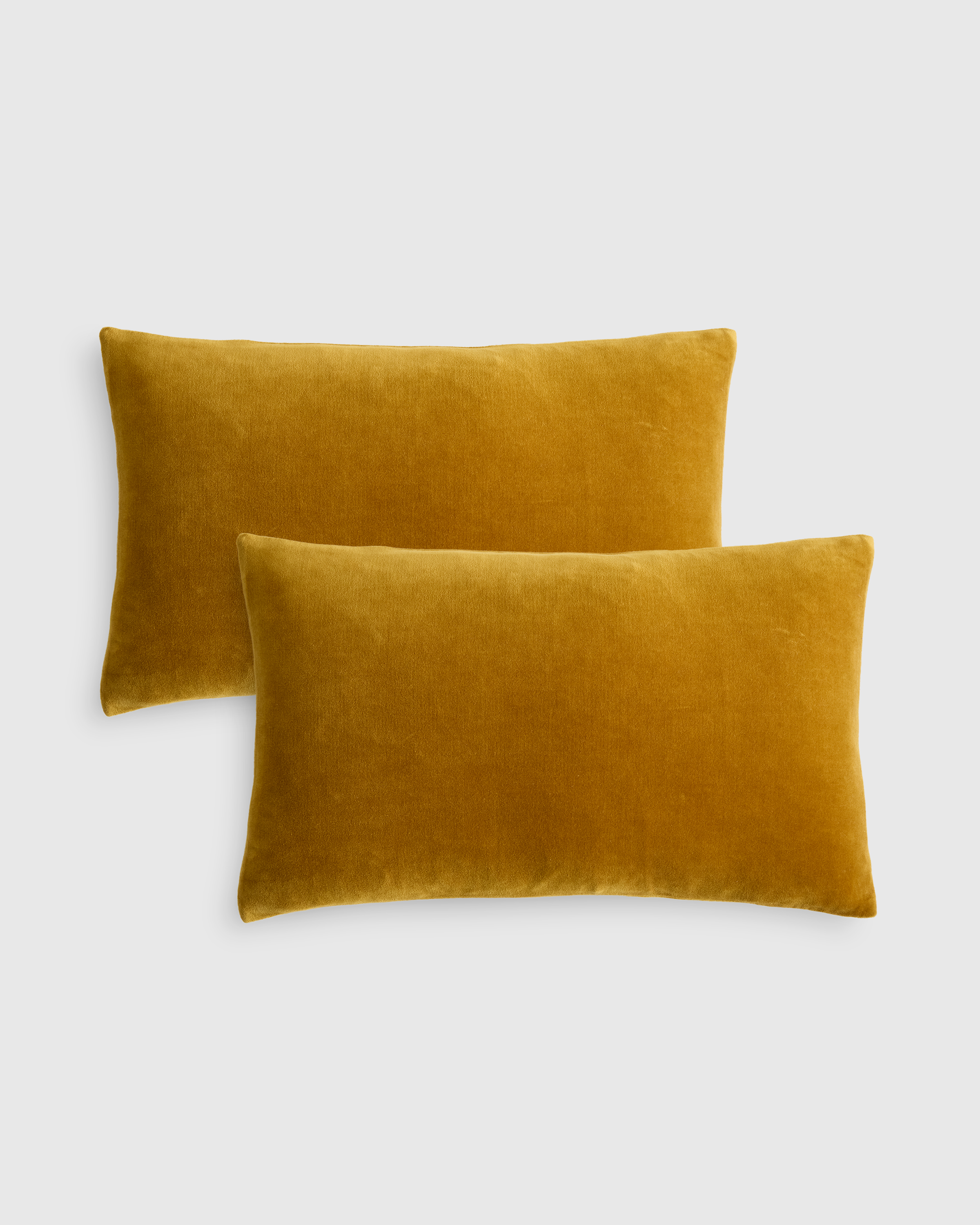Cotton Velvet Pillow Cover - Set of 2 by Quince