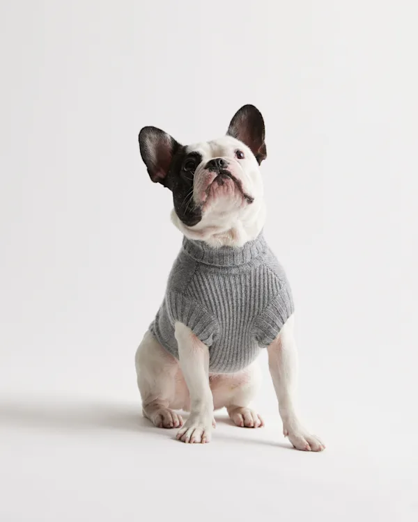 Mongolian Cashmere Cable Knit Dog Sweater