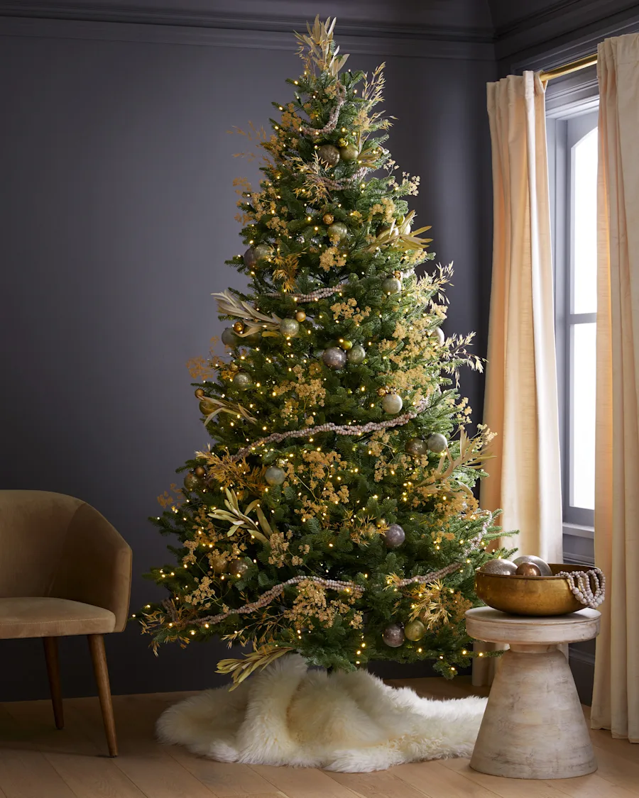 ChristmasTree Fir 150