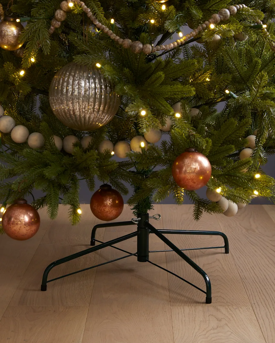 ChristmasTree Spruce 101