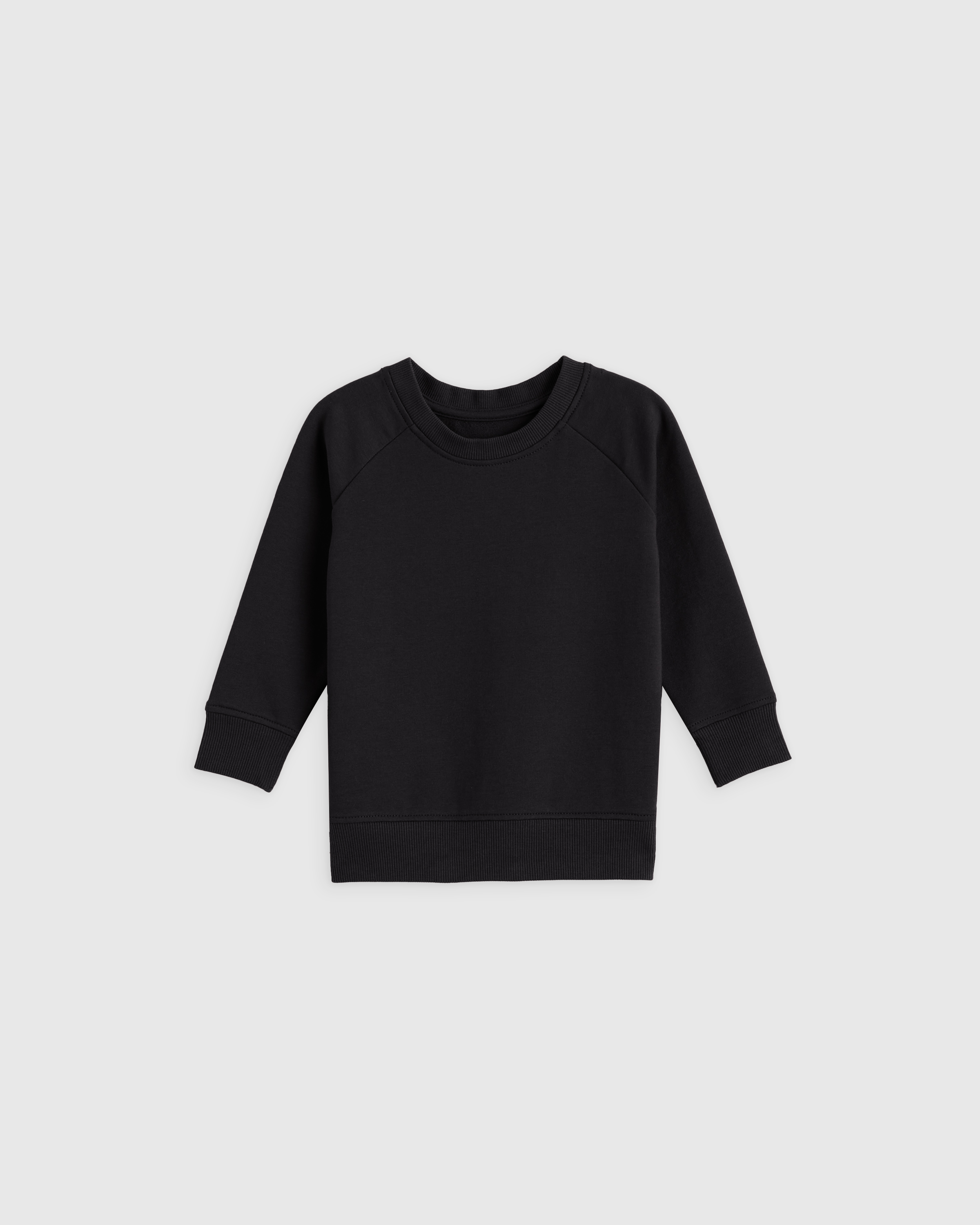 Organic Cotton French Terry Crew Neck Sweatshirt 2-Pack - thumbnail 3