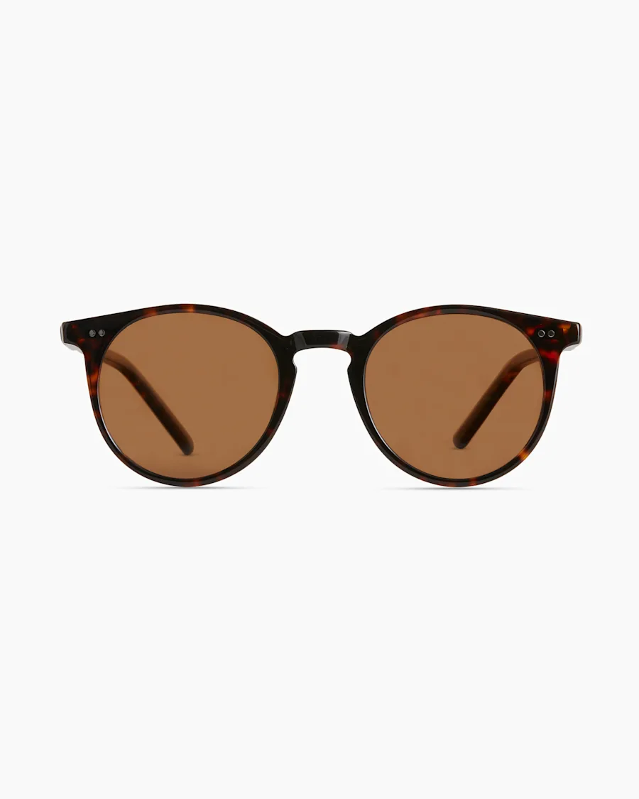NOAH-TORTOISE-POLARIZED-7061