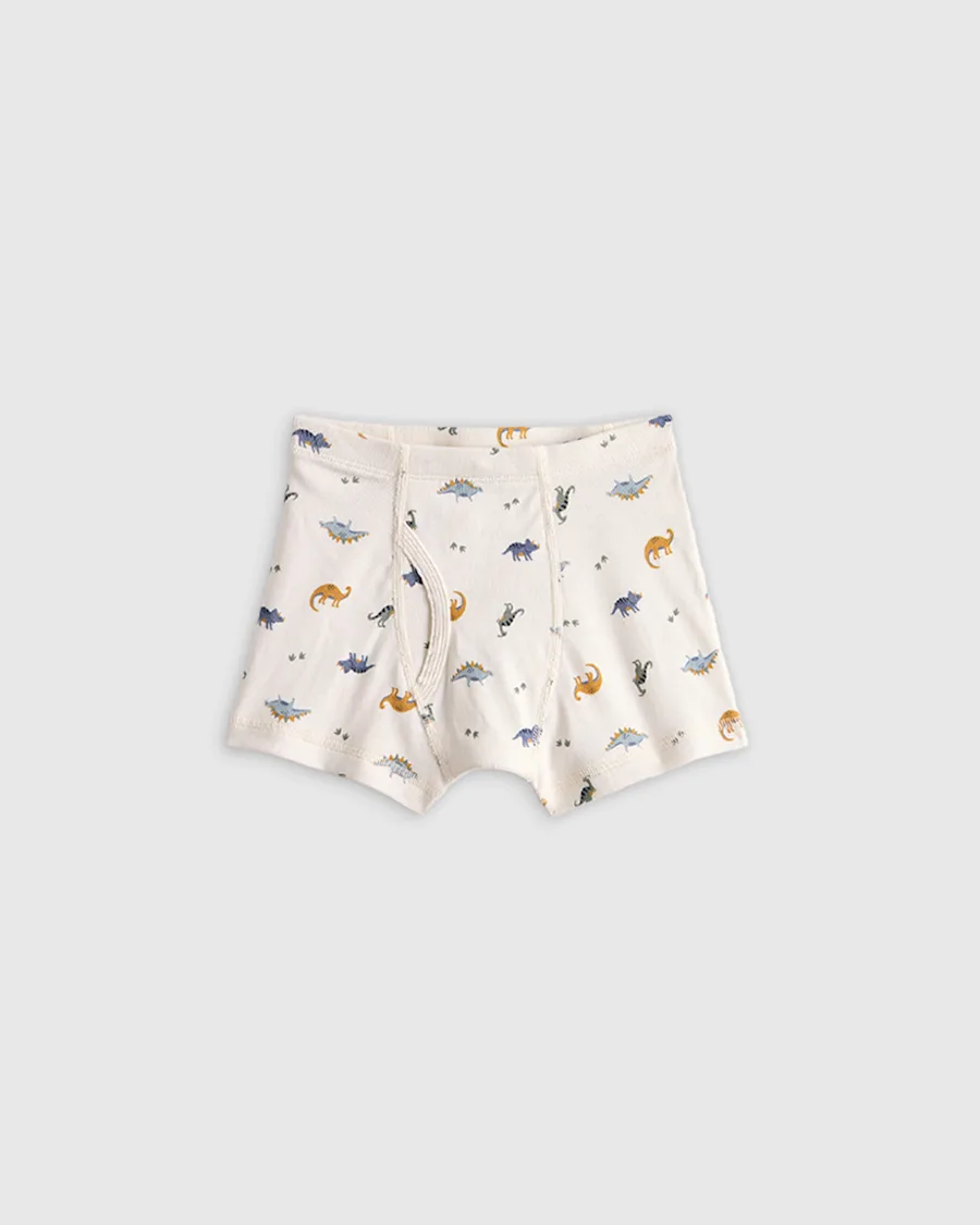 U--626 TODDLER Boxer Brief DInosaurs 015 EDITED