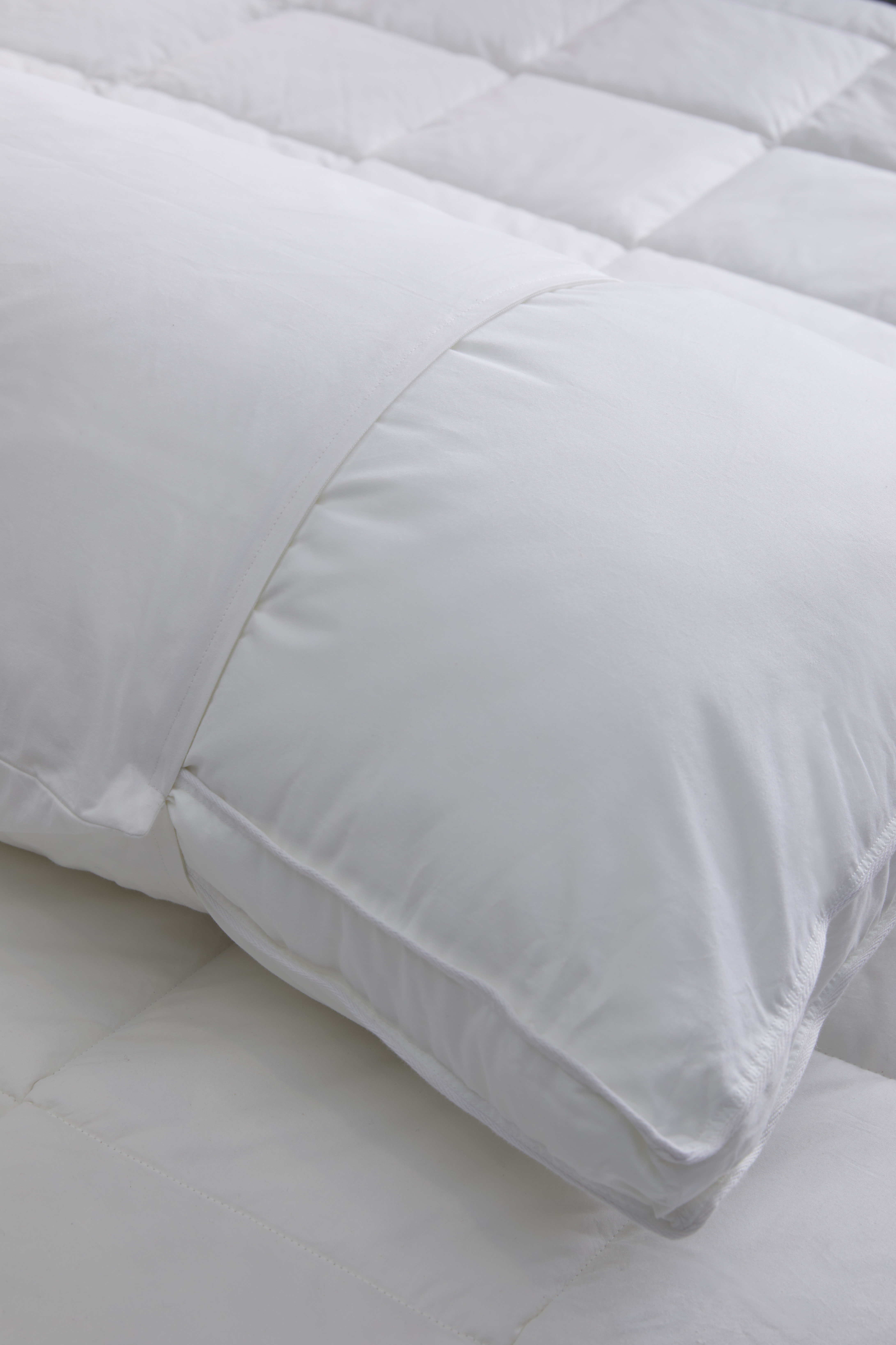 100 cotton pillow protector