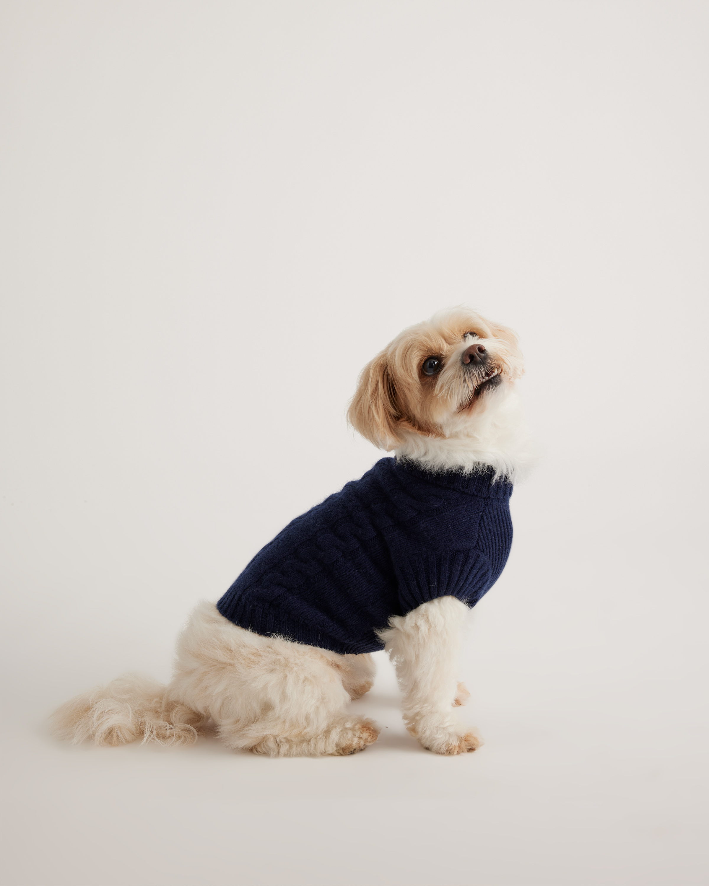 Quince Mongolian Cashmere Cable Knit Dog Sweater In Navy