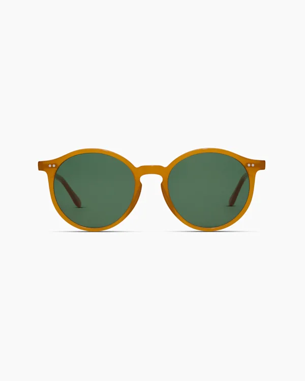 Brixton Polarized Acetate Sunglasses