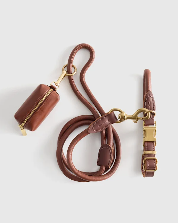 Italian Leather Dog Collar Walk Kit