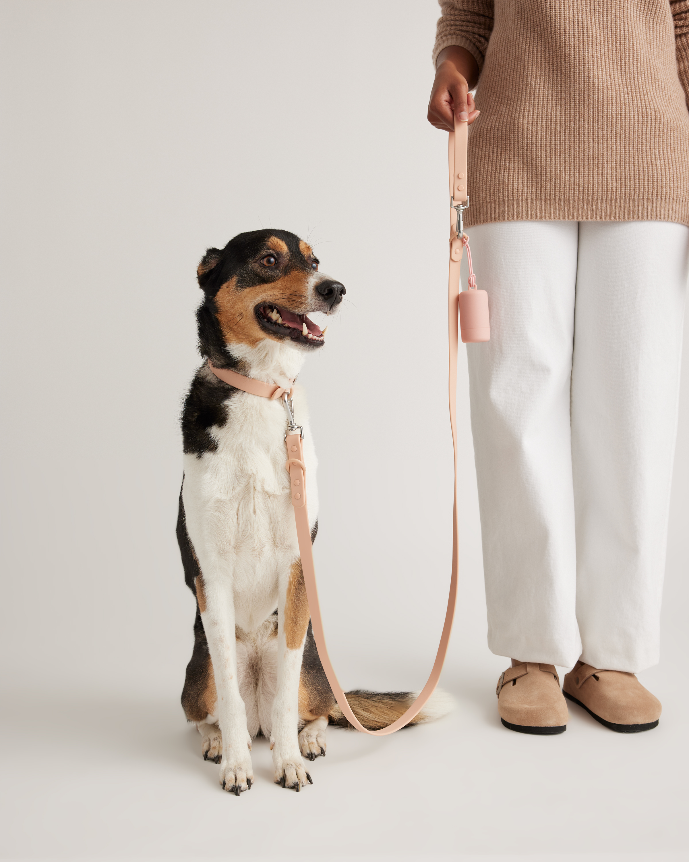 Quince Dog Collar Walk Kit In Soft Blush