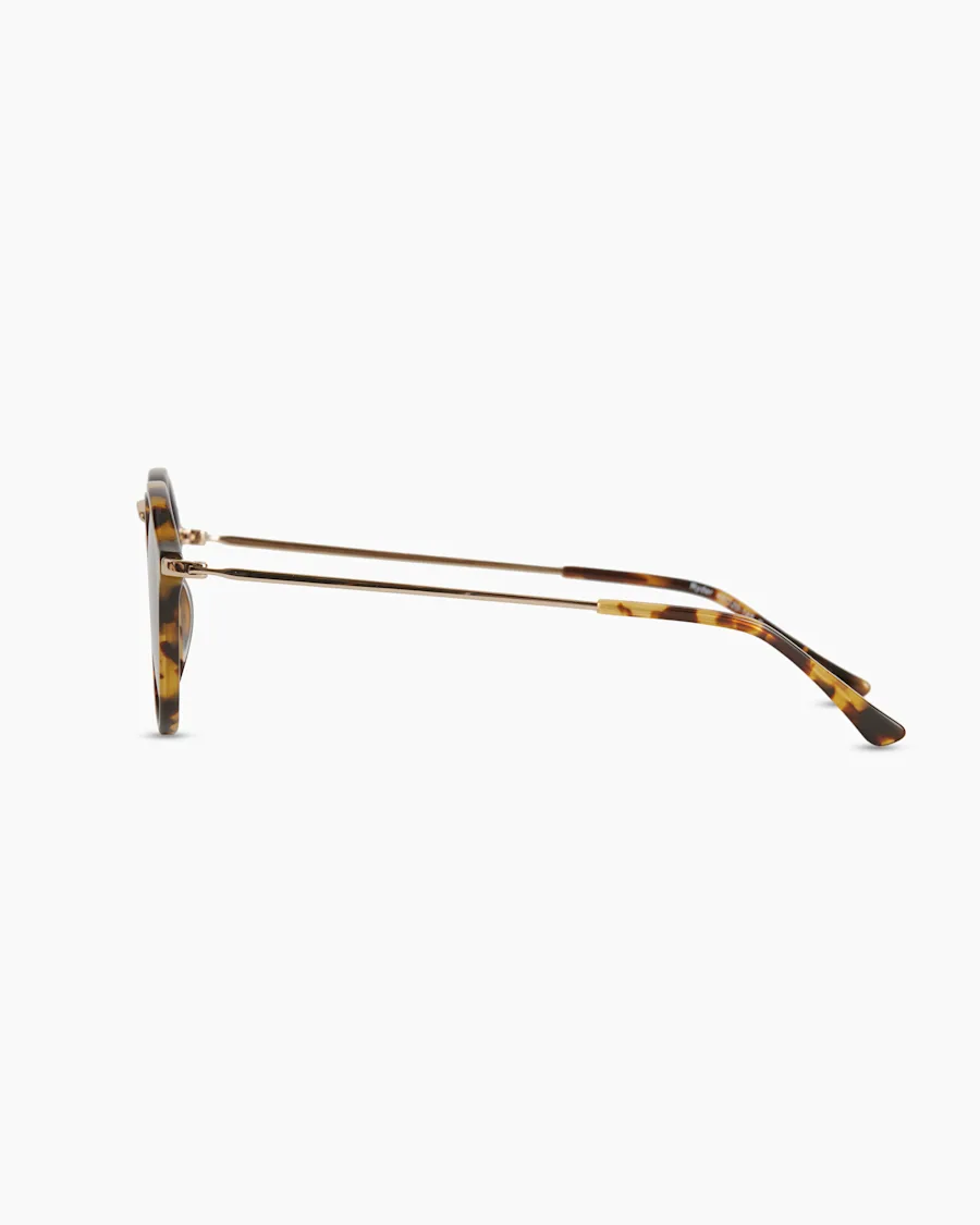 RYDER-FAWN TORTOISE-POLARIZED-3