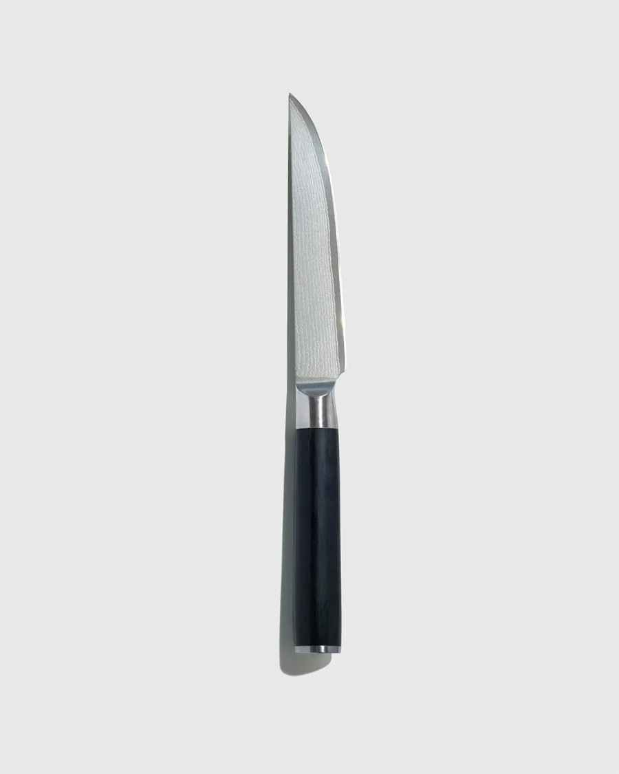 steak knife 1