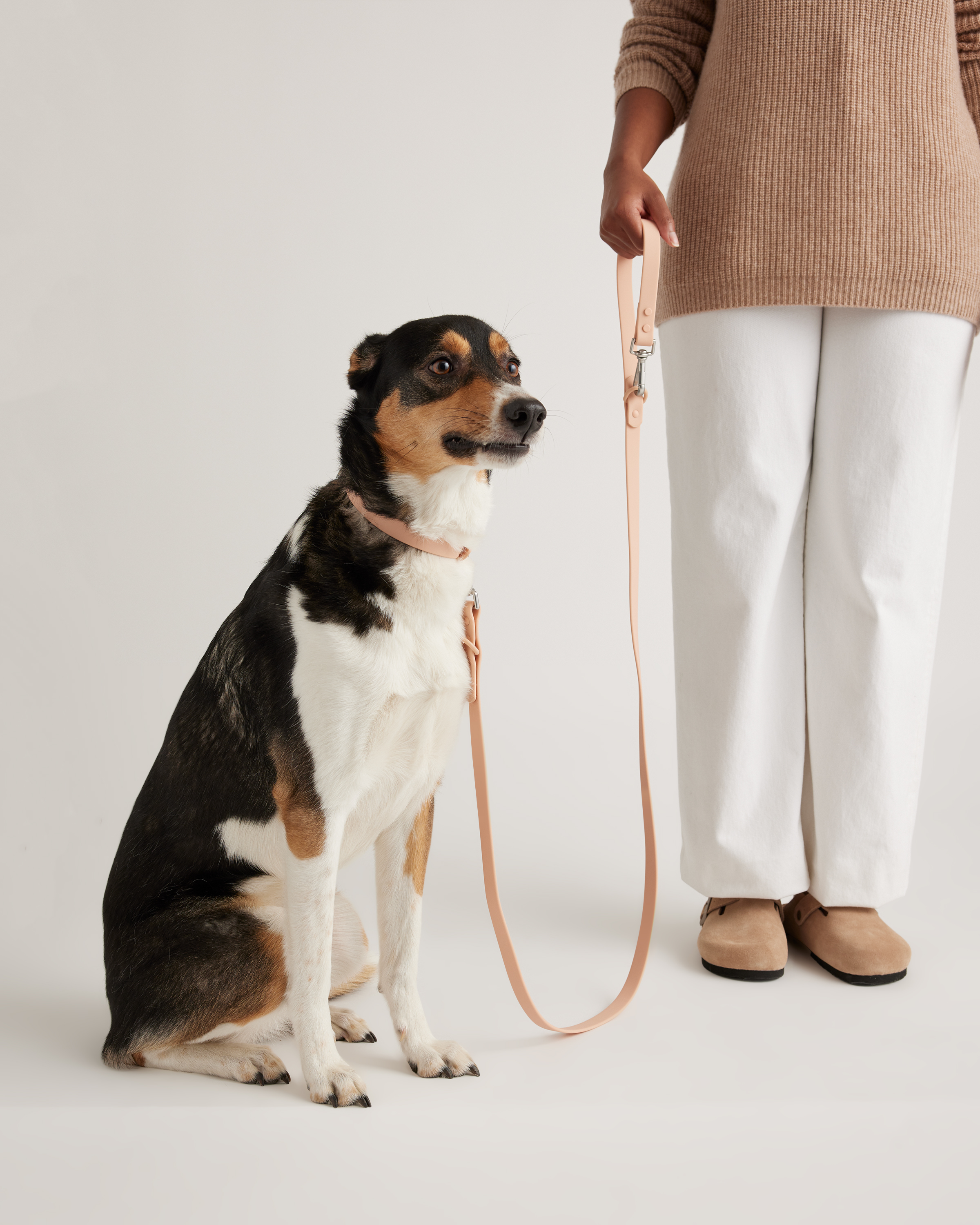 Quince Flex-poly Dog Leash In Soft Blush