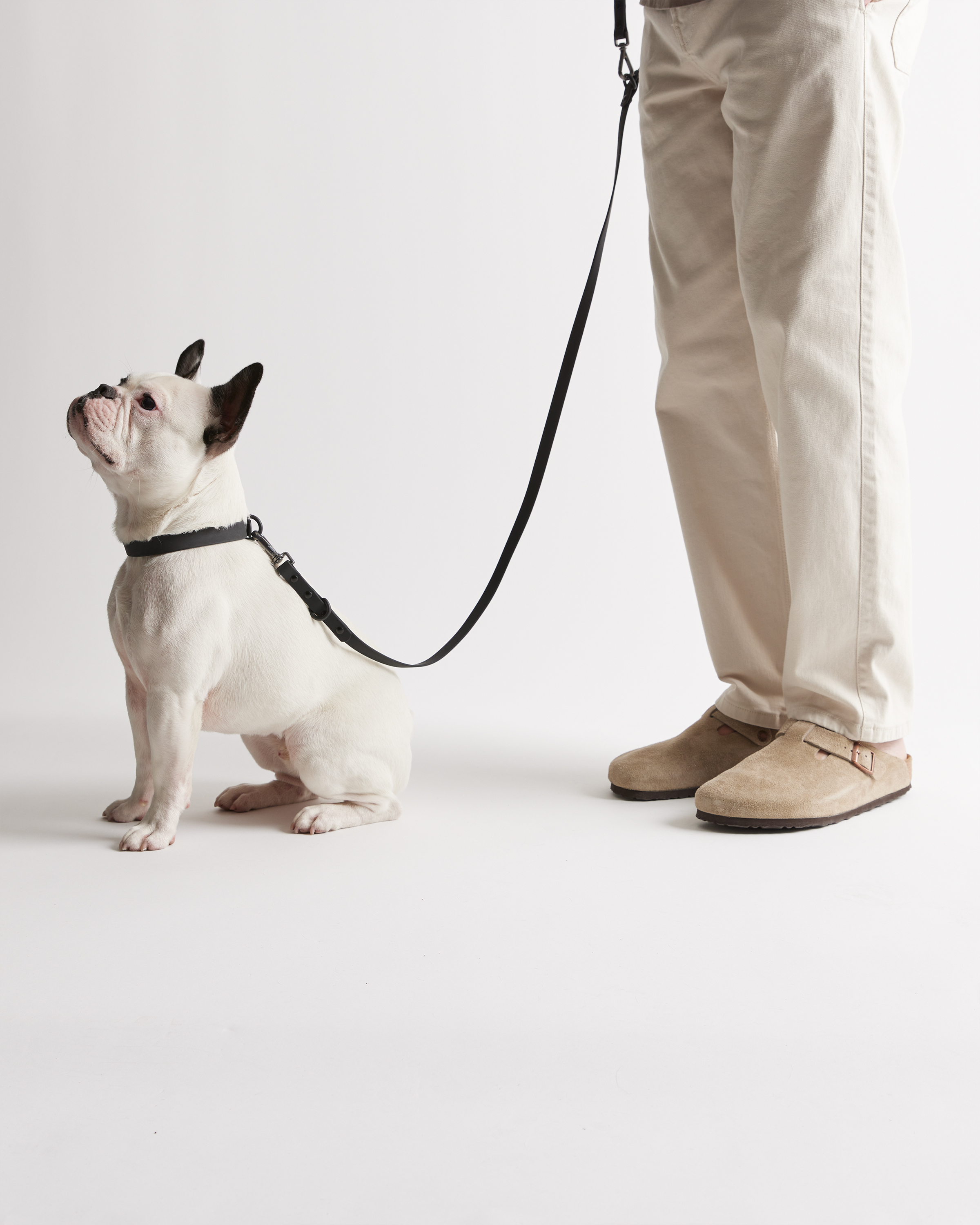 Flex-Poly Dog Leash - thumbnail 5