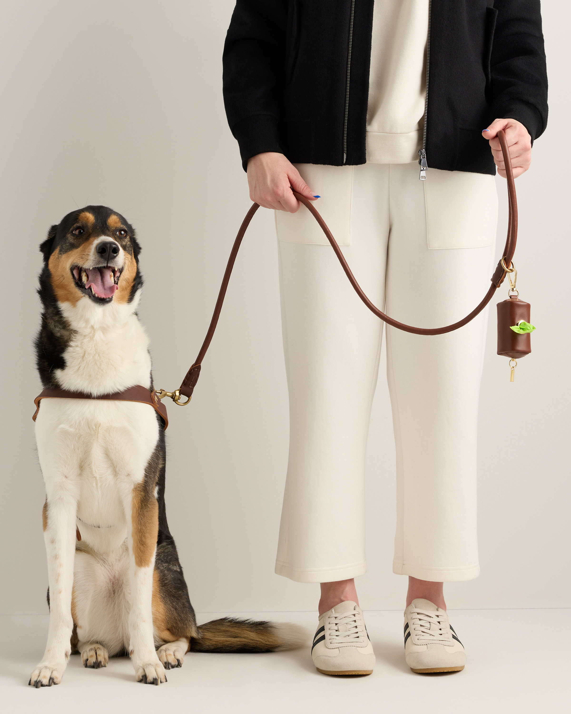 Leather Dog Waste Bag Holder - thumbnail 4