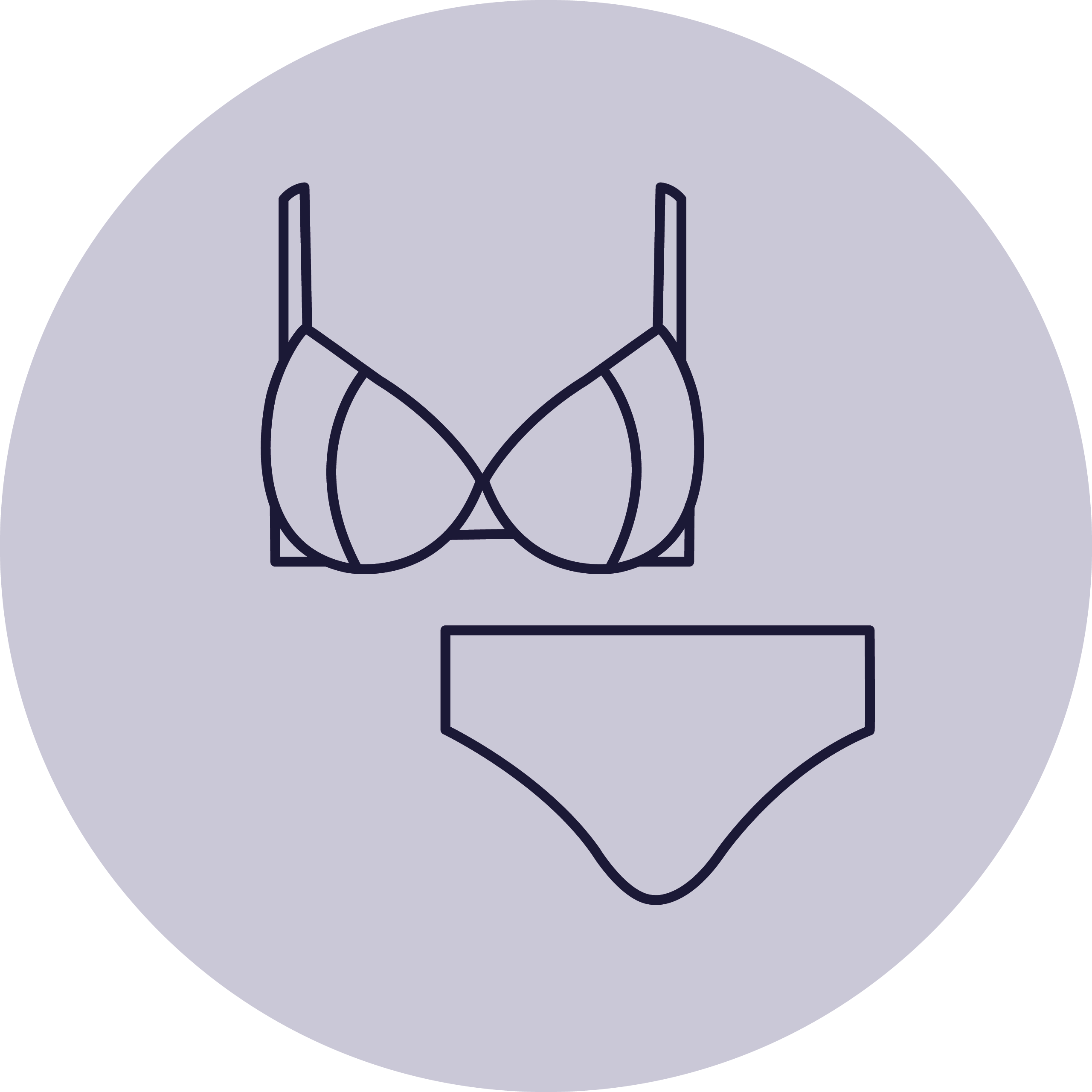 Das Symbol zeigt eine stilisierte Darstellung eines Push-Up-Bikinis mit einem gepolsterten Oberteil und einem Bikinihöschen, innerhalb eines grauen Kreises.